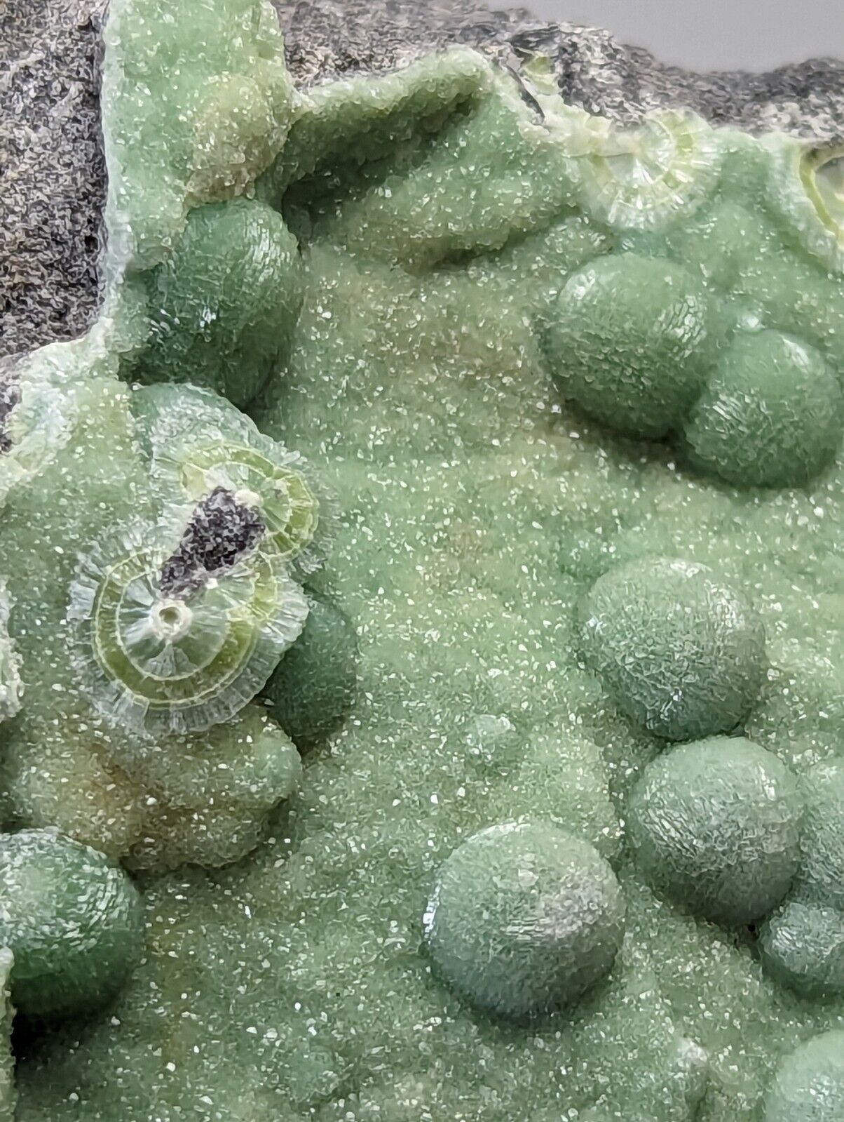 Large Wavellite - Fantastic Old Stock - Mauldin Mountain Arkansas - Collectibles:Rocks Fossils & Minerals:Crystals