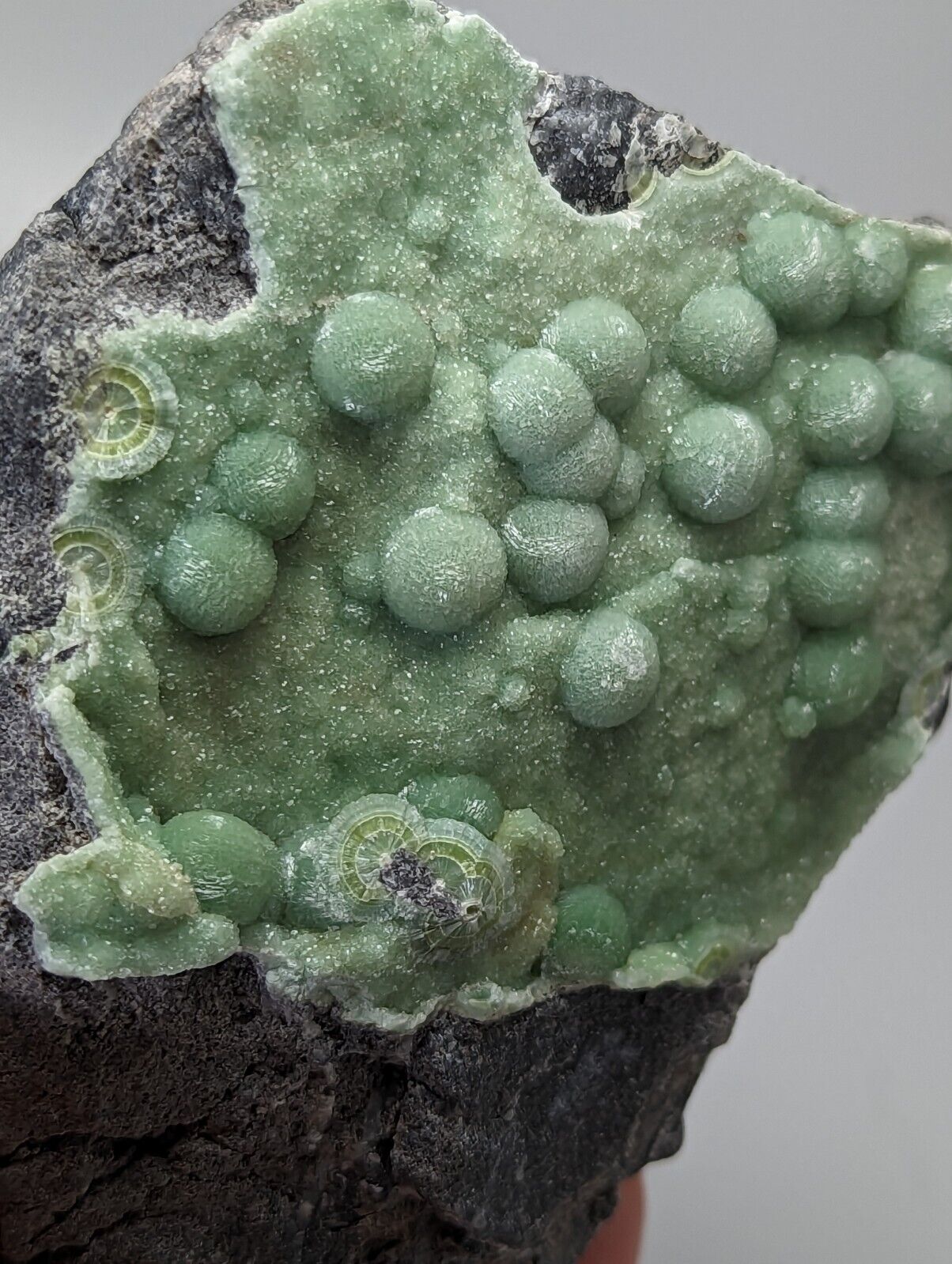 Large Wavellite - Fantastic Old Stock - Mauldin Mountain Arkansas - Collectibles:Rocks Fossils & Minerals:Crystals