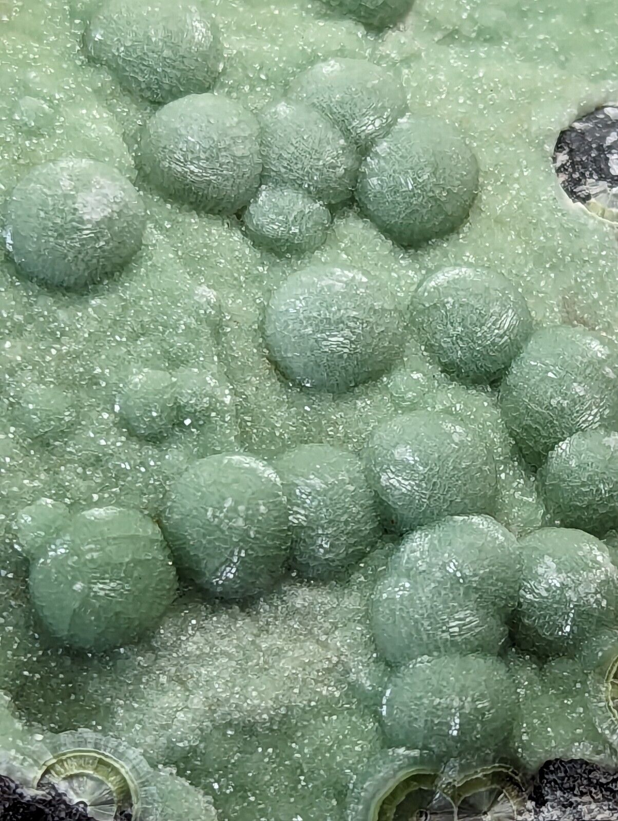 Large Wavellite - Fantastic Old Stock - Mauldin Mountain Arkansas - Collectibles:Rocks Fossils & Minerals:Crystals