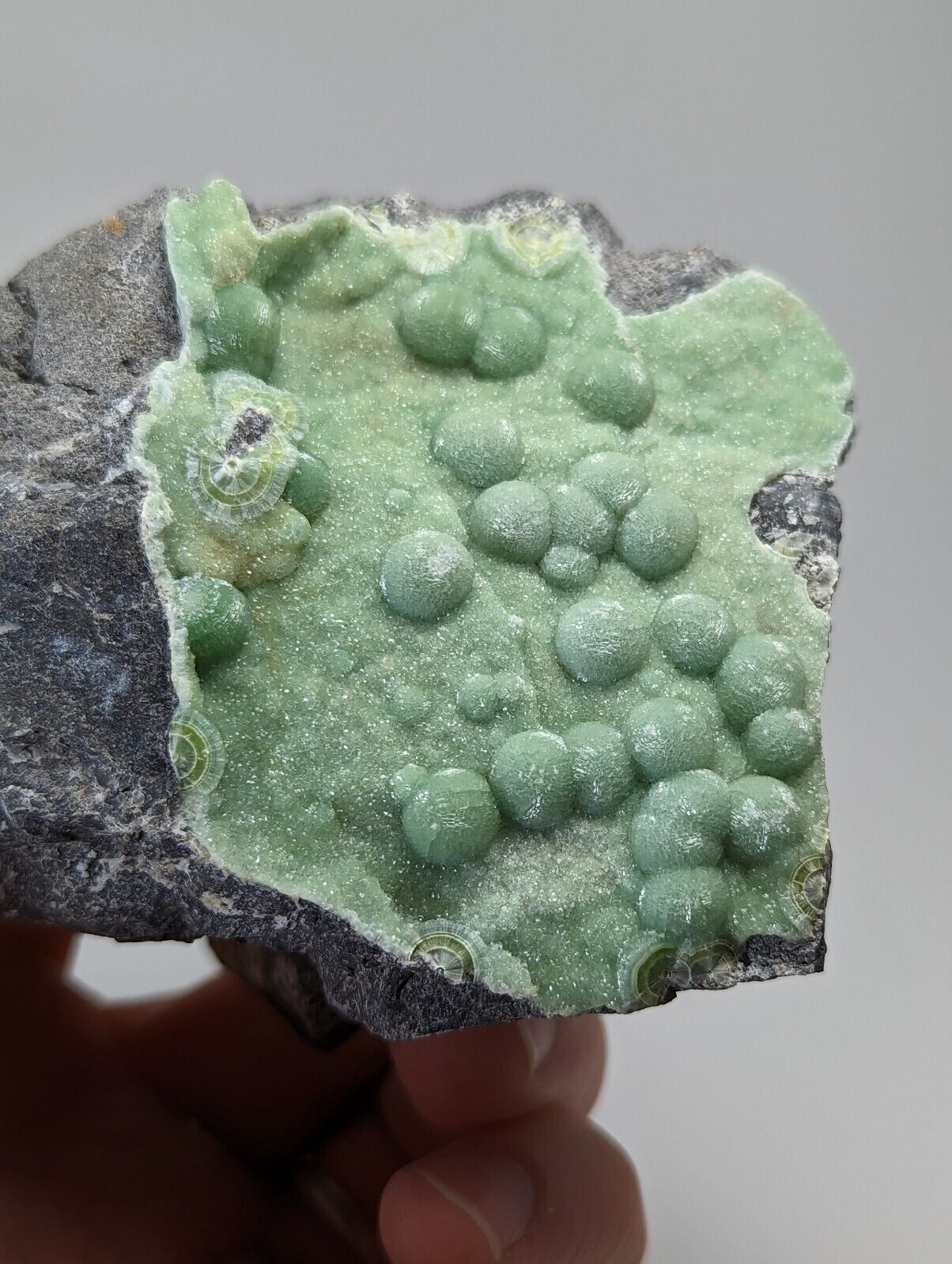 Large Wavellite - Fantastic Old Stock - Mauldin Mountain Arkansas - Collectibles:Rocks Fossils & Minerals:Crystals