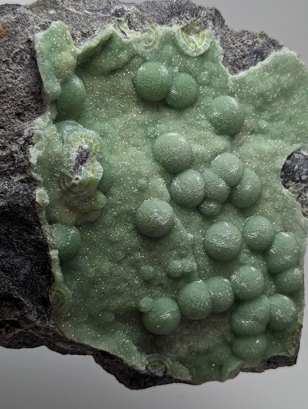 Large Wavellite - Fantastic Old Stock - Mauldin Mountain Arkansas - Collectibles:Rocks Fossils & Minerals:Crystals