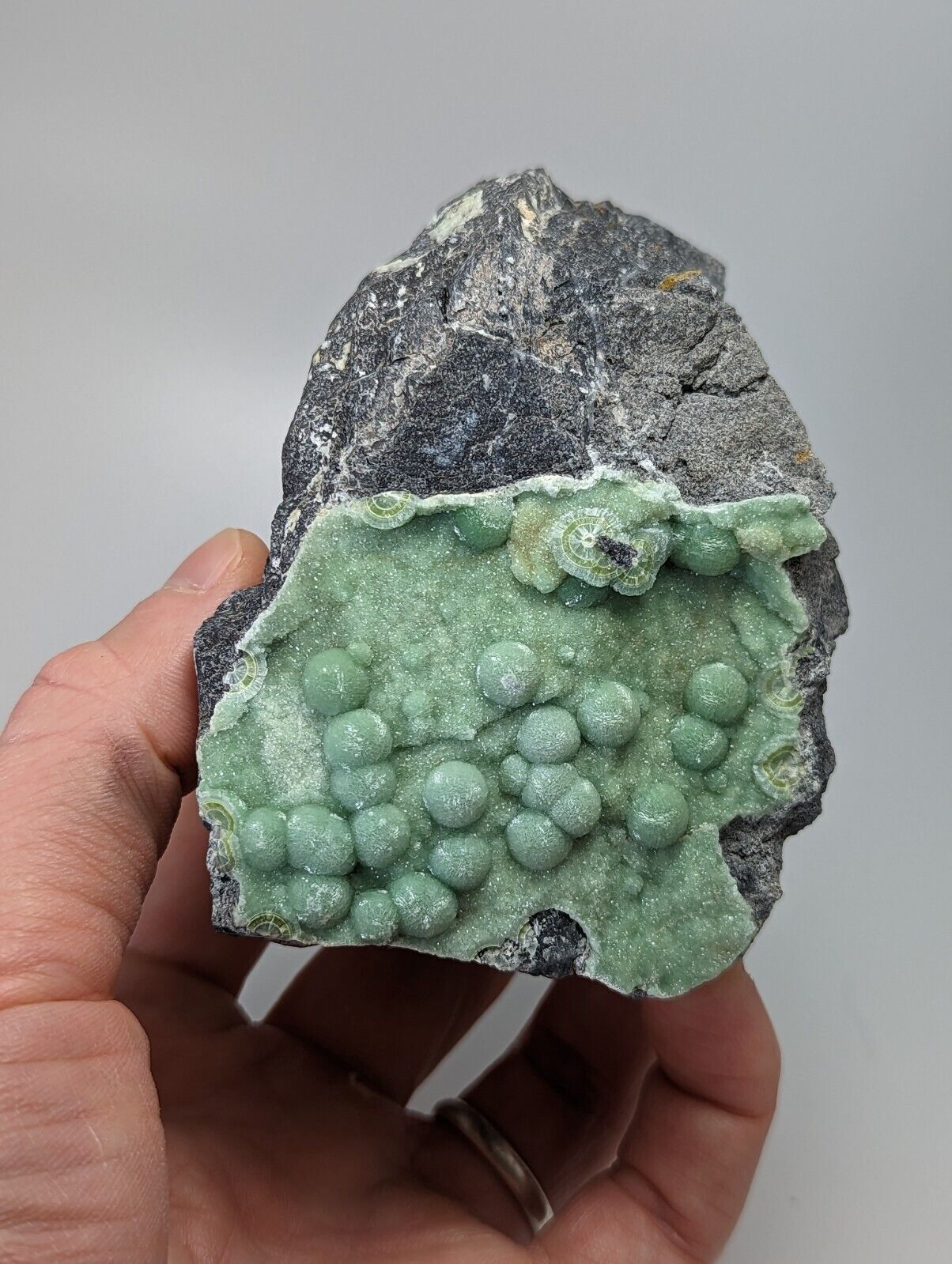 Large Wavellite - Fantastic Old Stock - Mauldin Mountain Arkansas - Collectibles:Rocks Fossils & Minerals:Crystals