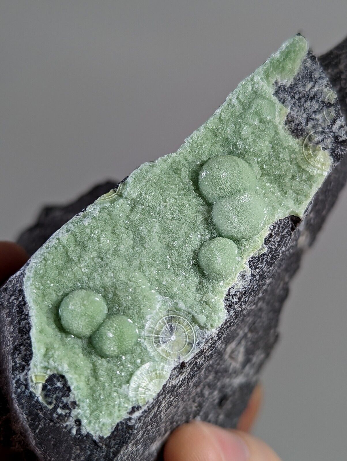 Large Wavellite - Old Stock - Mauldin Mountain Arkansas - Collectibles:Rocks Fossils & Minerals:Crystals Mineral