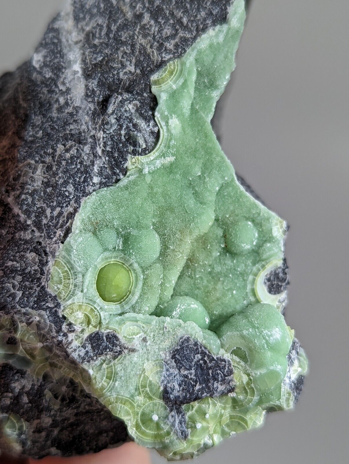 Large Wavellite - Old Stock - Mauldin Mountain Arkansas - Collectibles:Rocks Fossils & Minerals:Crystals Mineral