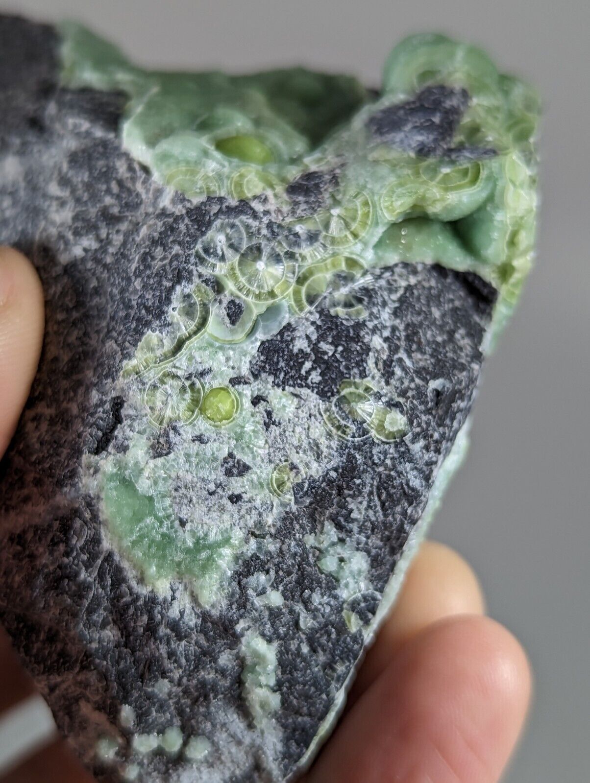 Large Wavellite - Old Stock - Mauldin Mountain Arkansas - Collectibles:Rocks Fossils & Minerals:Crystals Mineral