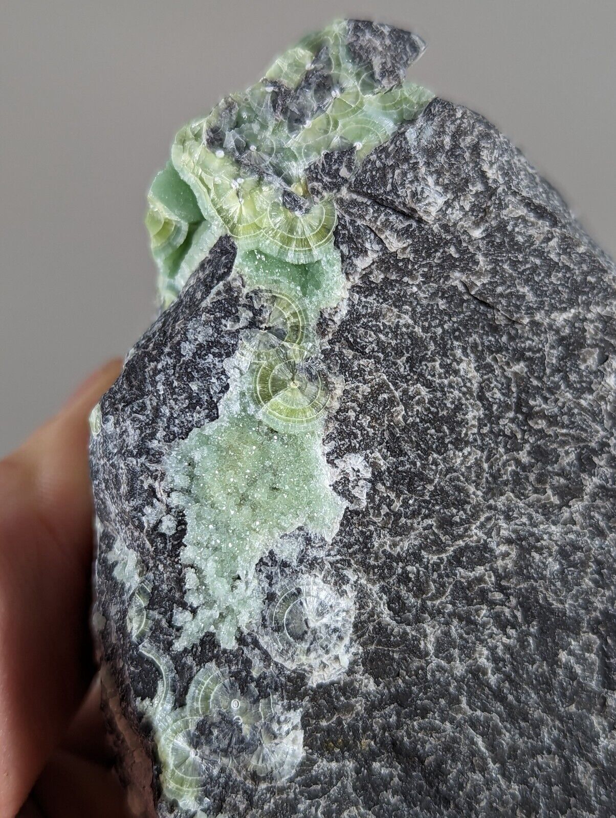 Large Wavellite - Old Stock - Mauldin Mountain Arkansas - Collectibles:Rocks Fossils & Minerals:Crystals Mineral