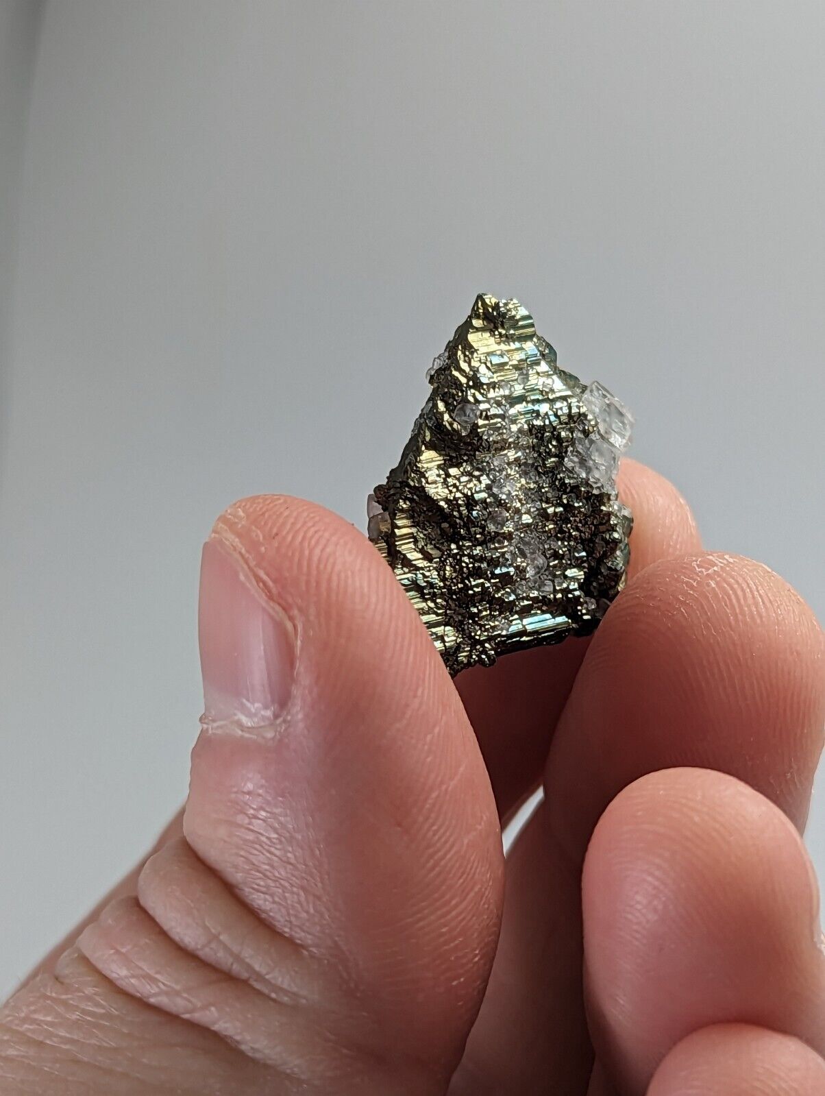 Marcasite with Calcite Linwood Mine Iowa USA - Collectibles:Rocks Fossils & Minerals:Crystals Mineral Specimens:Display