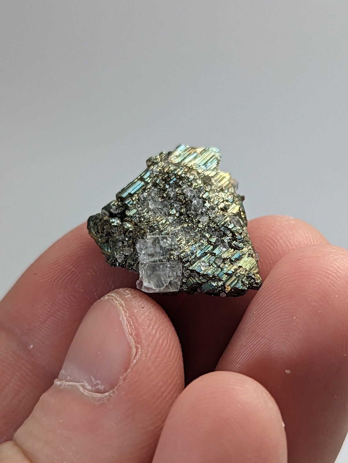 Marcasite with Calcite Linwood Mine Iowa USA - Collectibles:Rocks Fossils & Minerals:Crystals Mineral Specimens:Display