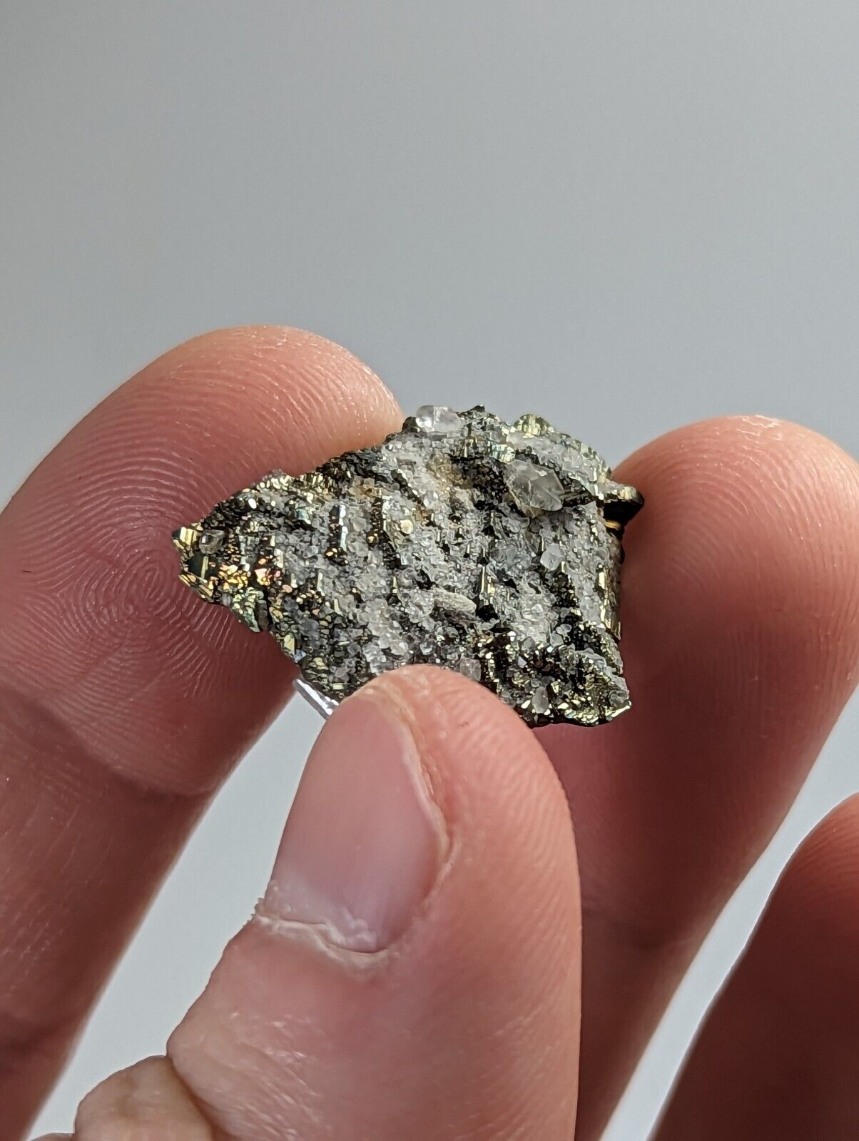 Marcasite with Calcite Linwood Mine Iowa USA - Collectibles:Rocks Fossils & Minerals:Crystals Mineral Specimens:Display