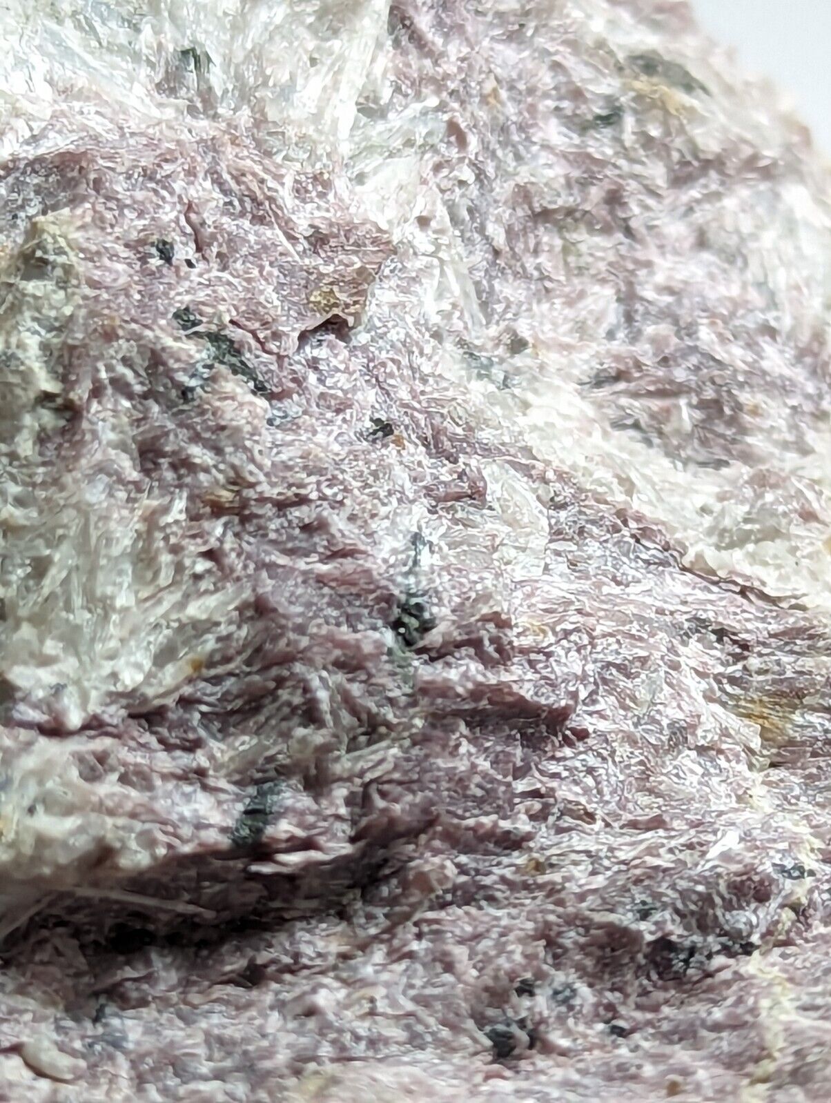 Miserite with Wollastonite -North Wilson Pit Union Carbide Mine Arkansas Rare - Collectibles:Rocks Fossils &