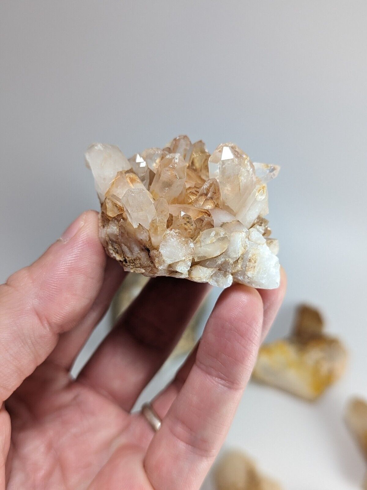 Mystery set of 10 mixed-grade Quartz Crystals for Home and Garden- Arkansas USA - Collectibles:Rocks Fossils &