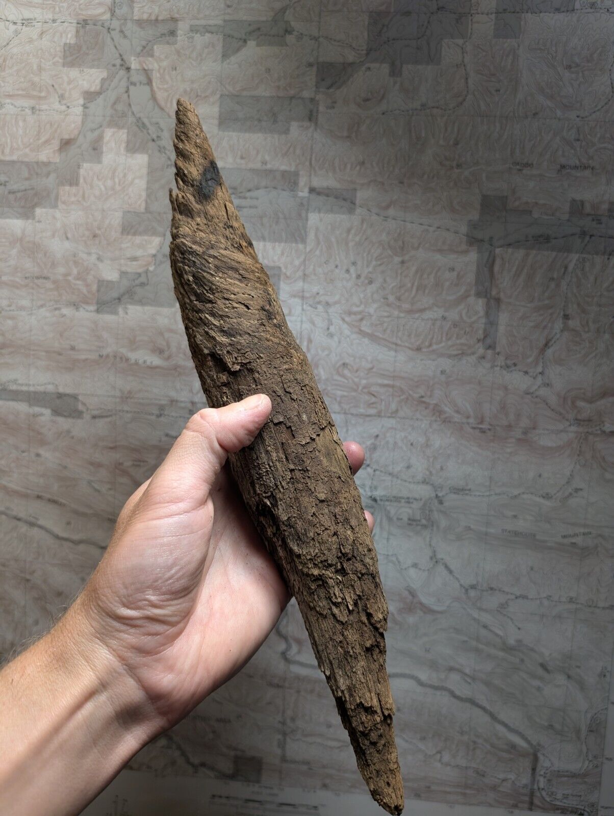 Natural Pine Knot Wooden Forest Decor Arkansas USA - Home Crafts Terrariums - Crafts:Multi-Purpose Craft