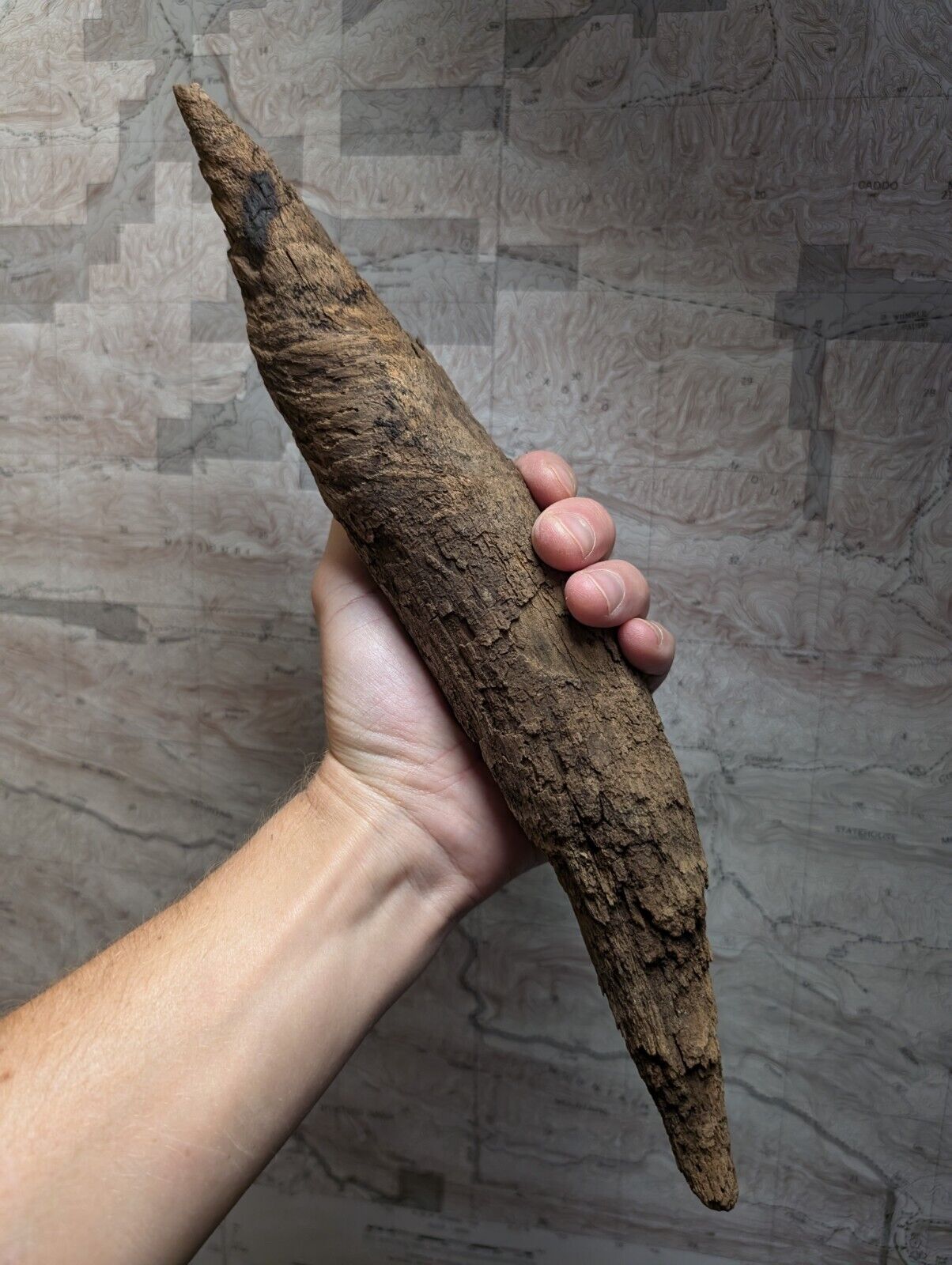 Natural Pine Knot Wooden Forest Decor Arkansas USA - Home Crafts Terrariums - Crafts:Multi-Purpose Craft