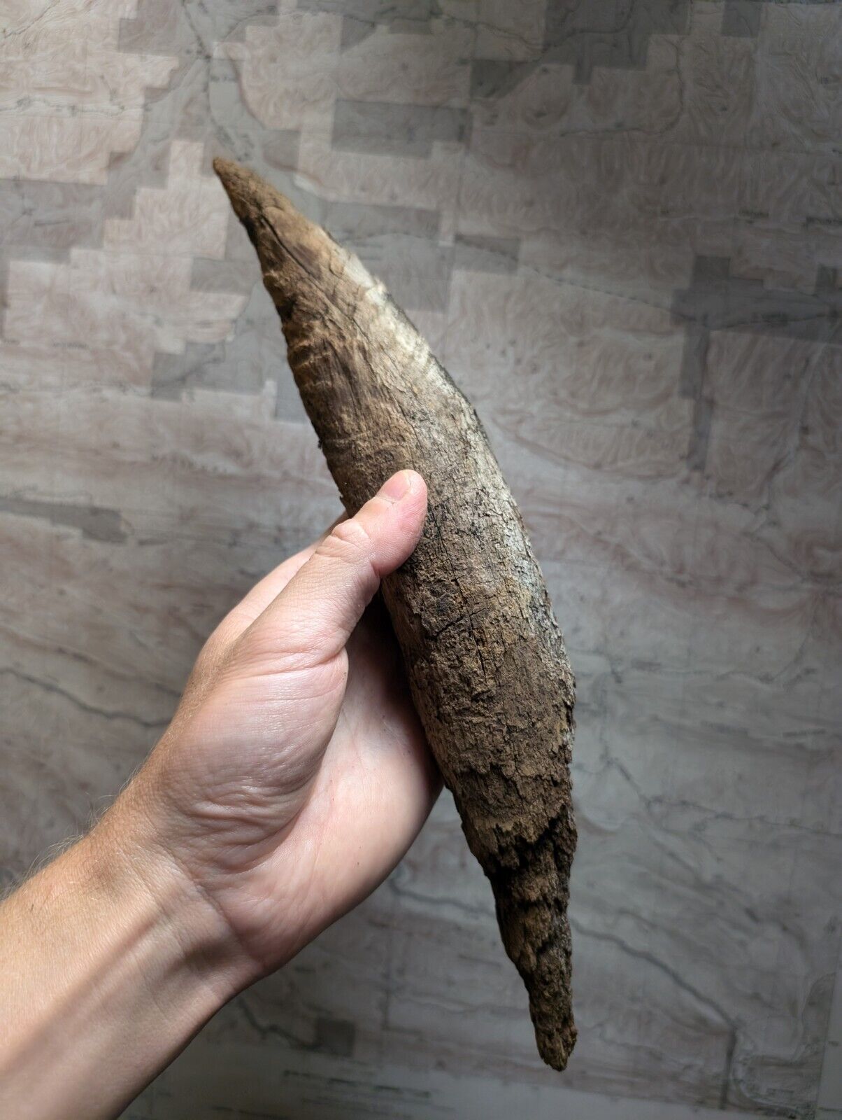 Natural Pine Knot Wooden Forest Decor Arkansas USA - Home Crafts Terrariums - Crafts:Multi-Purpose Craft