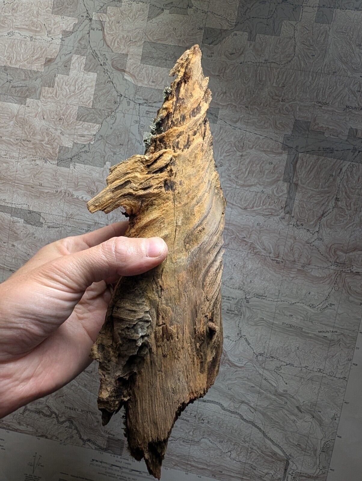 Natural Pine Knot Wooden Forest Decor Arkansas USA - Home Crafts Terrariums - Crafts:Multi-Purpose Craft