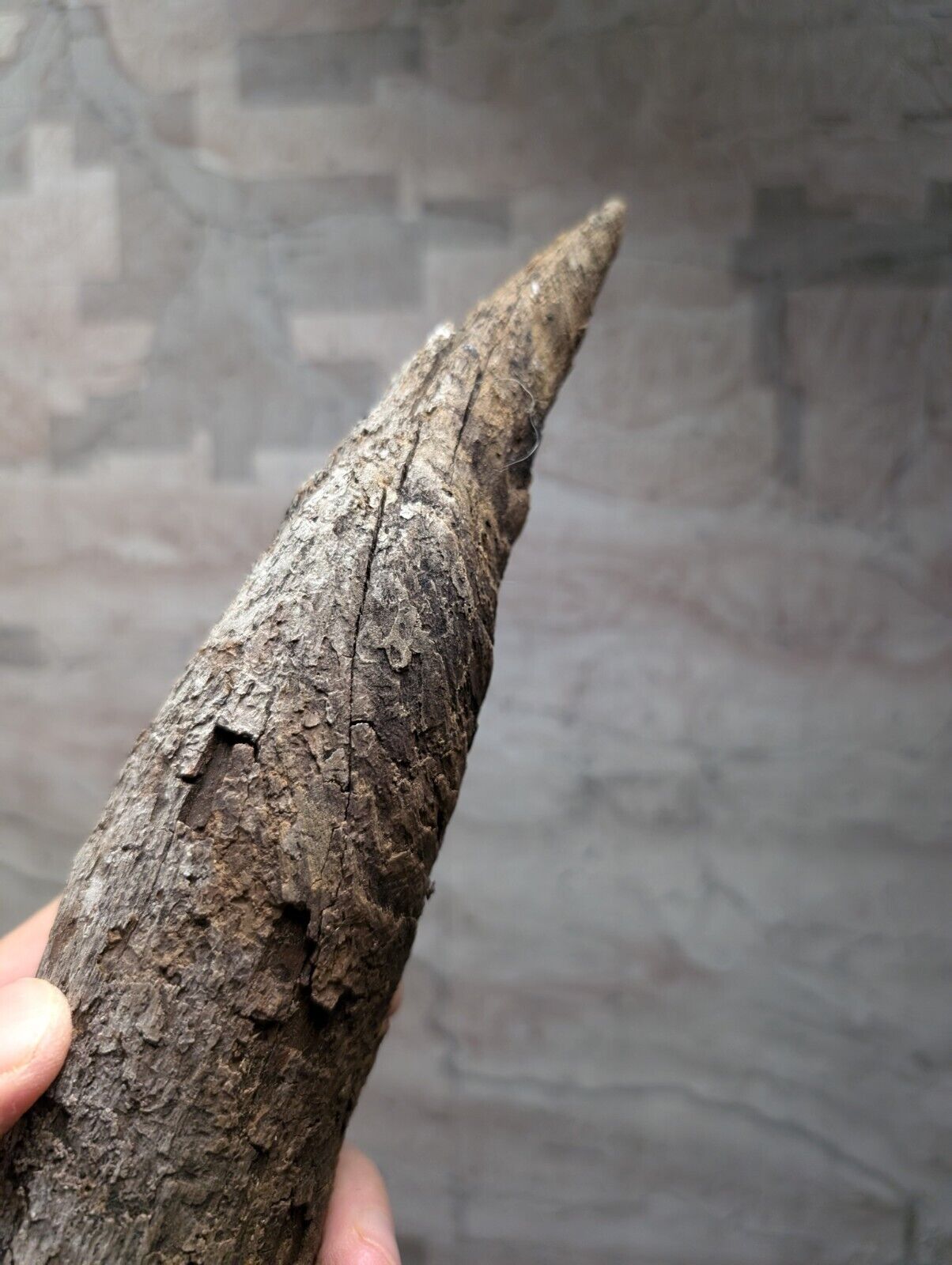 Natural Pine Knot Wooden Forest Decor Arkansas USA - Home Crafts Terrariums - Crafts:Multi-Purpose Craft