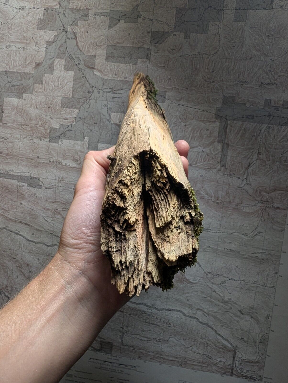 Natural Pine Knot Wooden Forest Decor Arkansas USA - Home Crafts Terrariums - Crafts:Multi-Purpose Craft