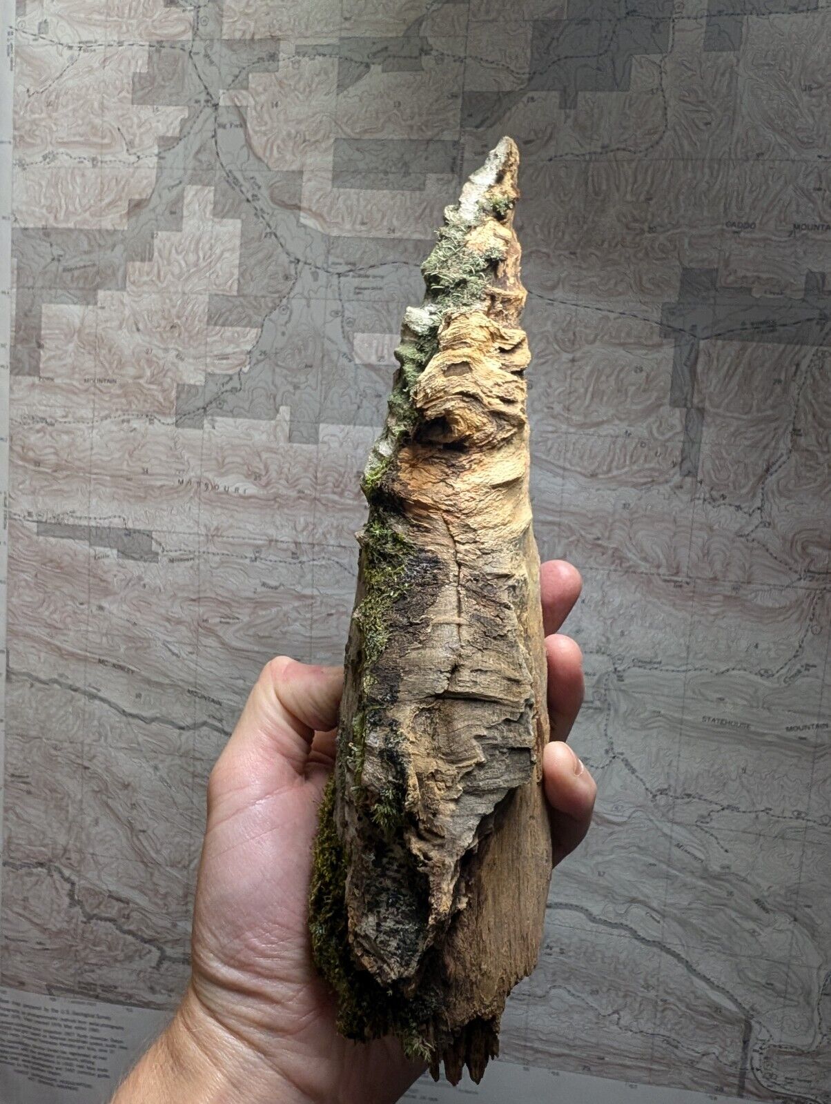 Natural Pine Knot Wooden Forest Decor Arkansas USA - Home Crafts Terrariums - Crafts:Multi-Purpose Craft