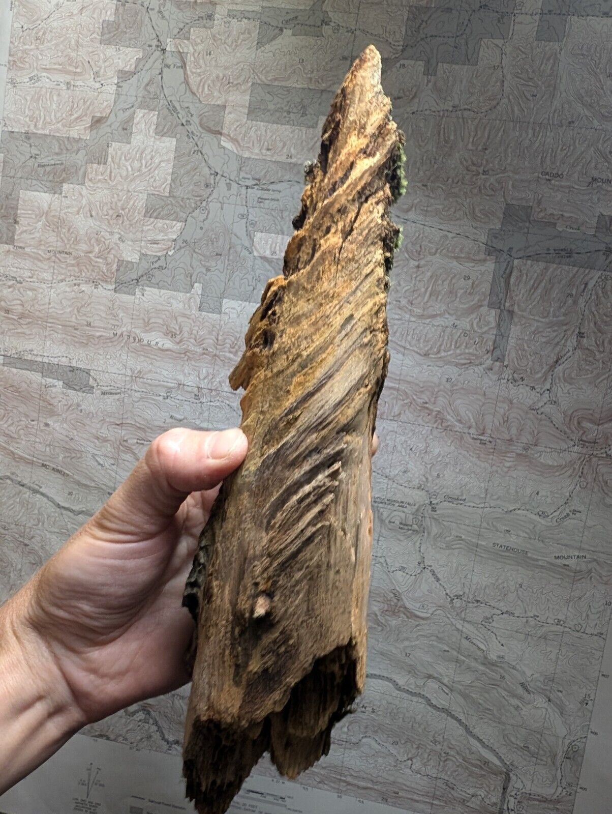 Natural Pine Knot Wooden Forest Decor Arkansas USA - Home Crafts Terrariums - Crafts:Multi-Purpose Craft