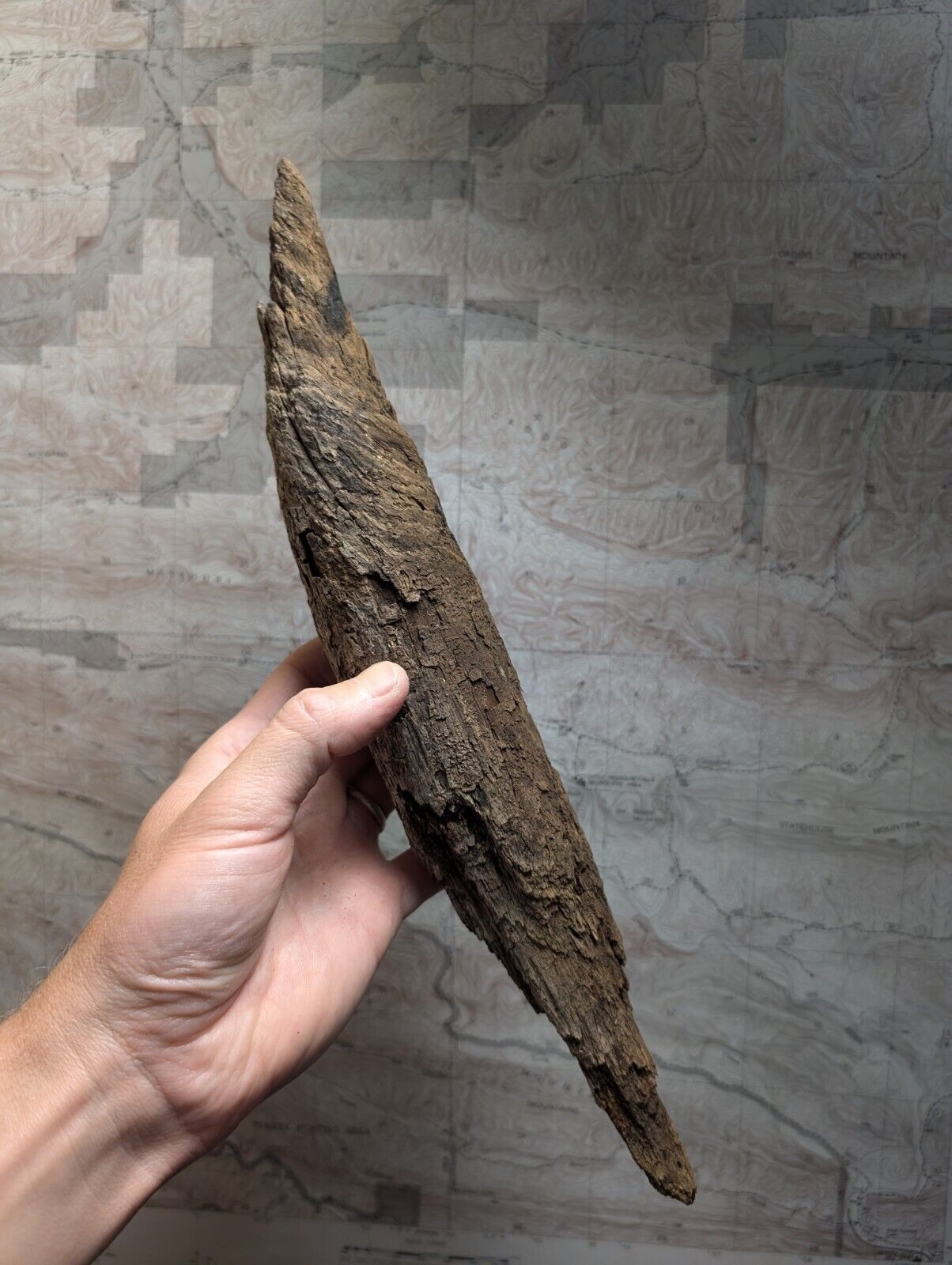 Natural Pine Knot Wooden Forest Decor Arkansas USA - Home Crafts Terrariums - Crafts:Multi-Purpose Craft