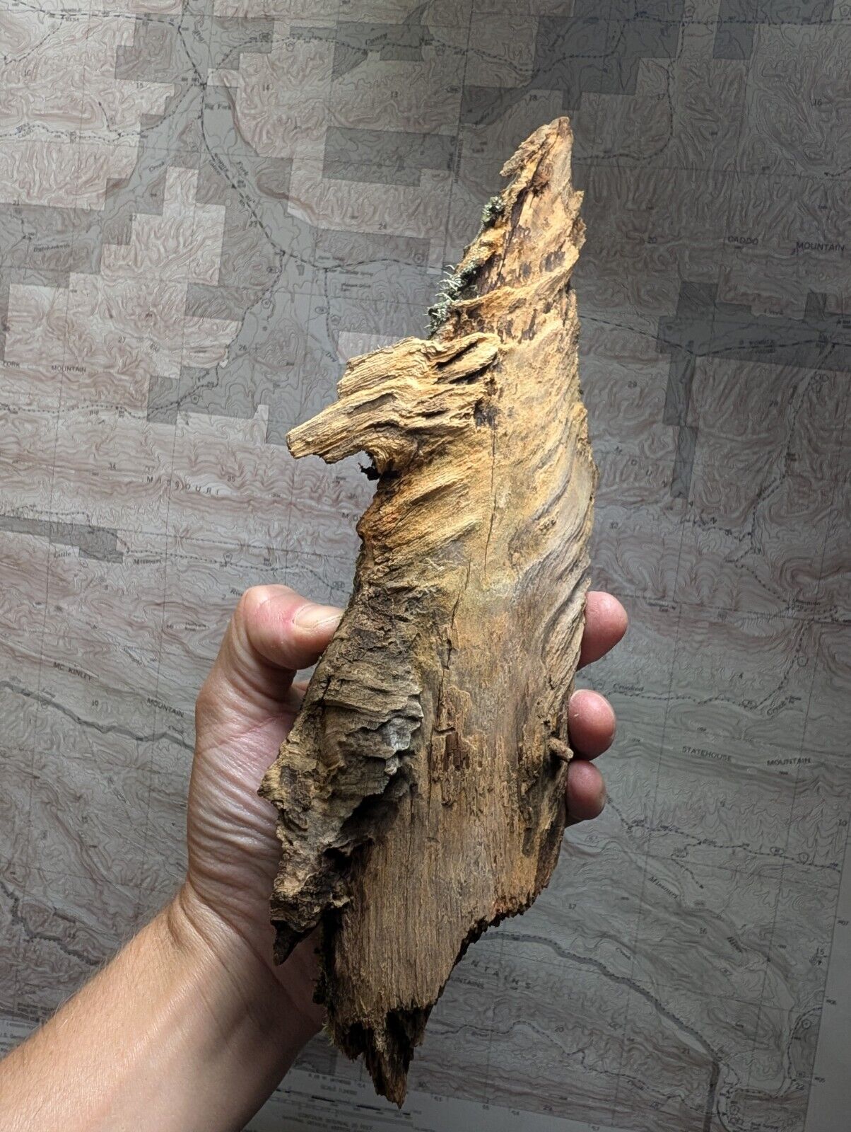 Natural Pine Knot Wooden Forest Decor Arkansas USA - Home Crafts Terrariums - Crafts:Multi-Purpose Craft