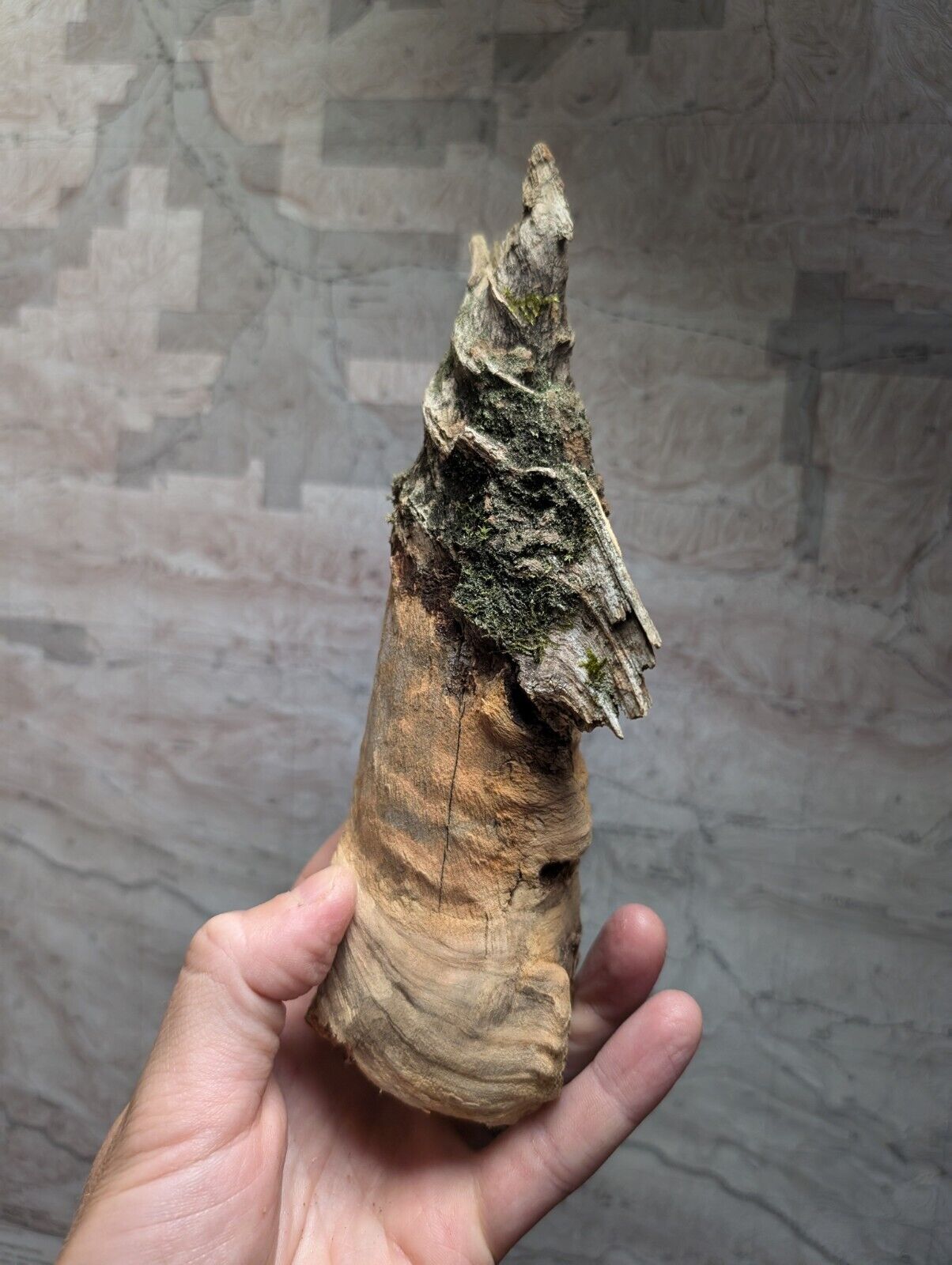 Natural Pine Knot Wooden Forest Decor Arkansas USA - Home Crafts Terrariums - Crafts:Multi-Purpose Craft