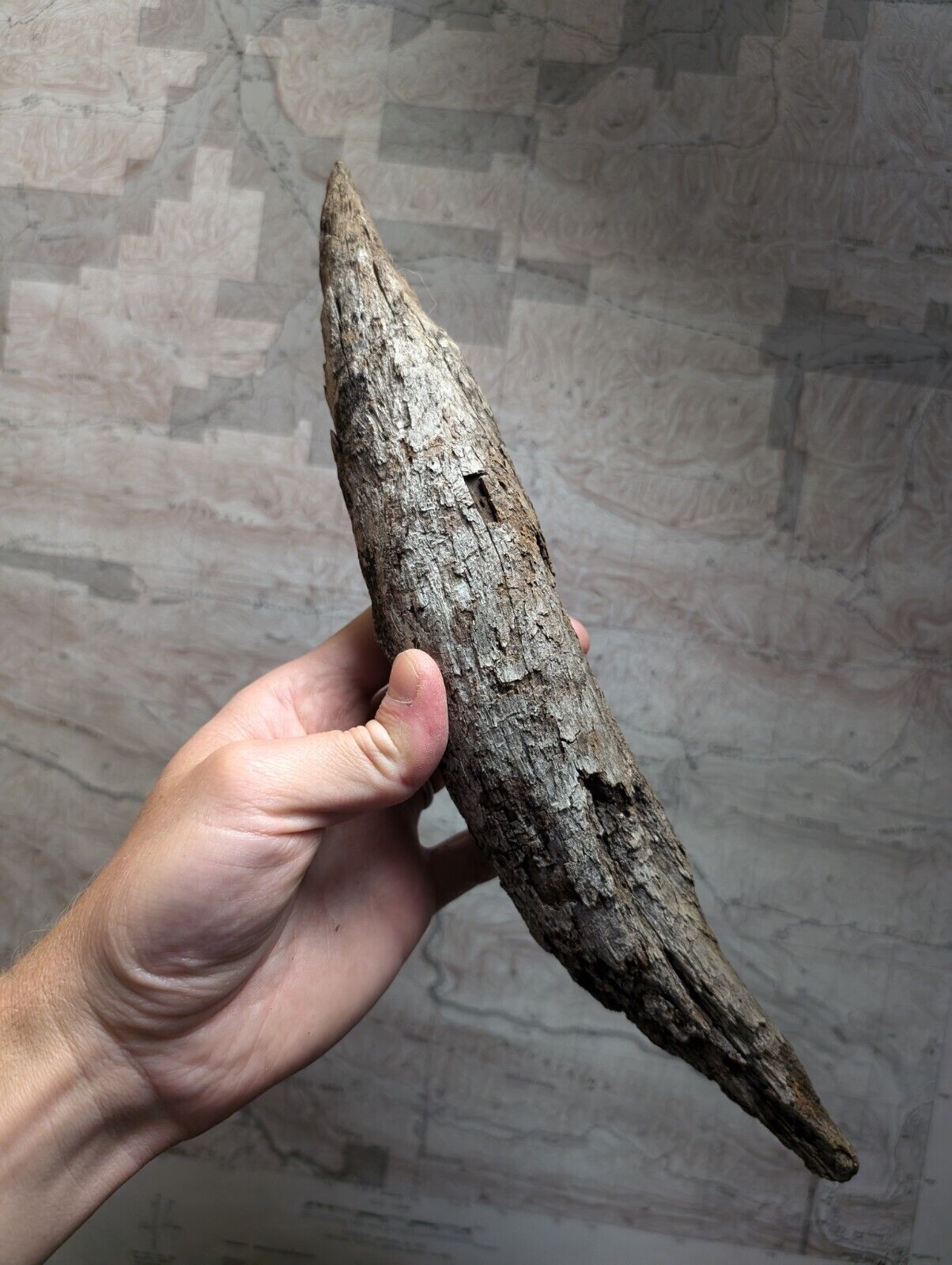 Natural Pine Knot Wooden Forest Decor Arkansas USA - Home Crafts Terrariums - Crafts:Multi-Purpose Craft