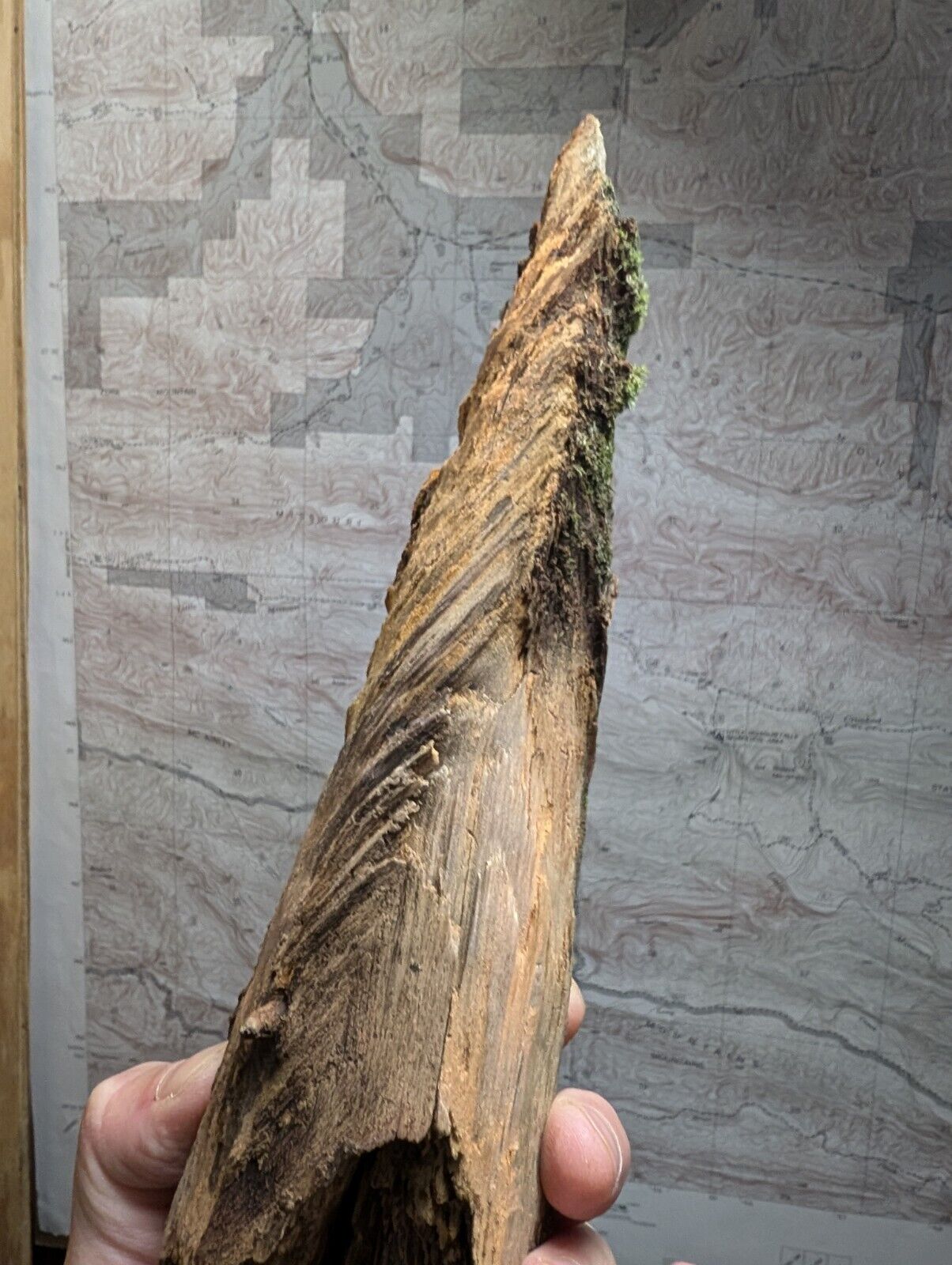 Natural Pine Knot Wooden Forest Decor Arkansas USA - Home Crafts Terrariums - Crafts:Multi-Purpose Craft