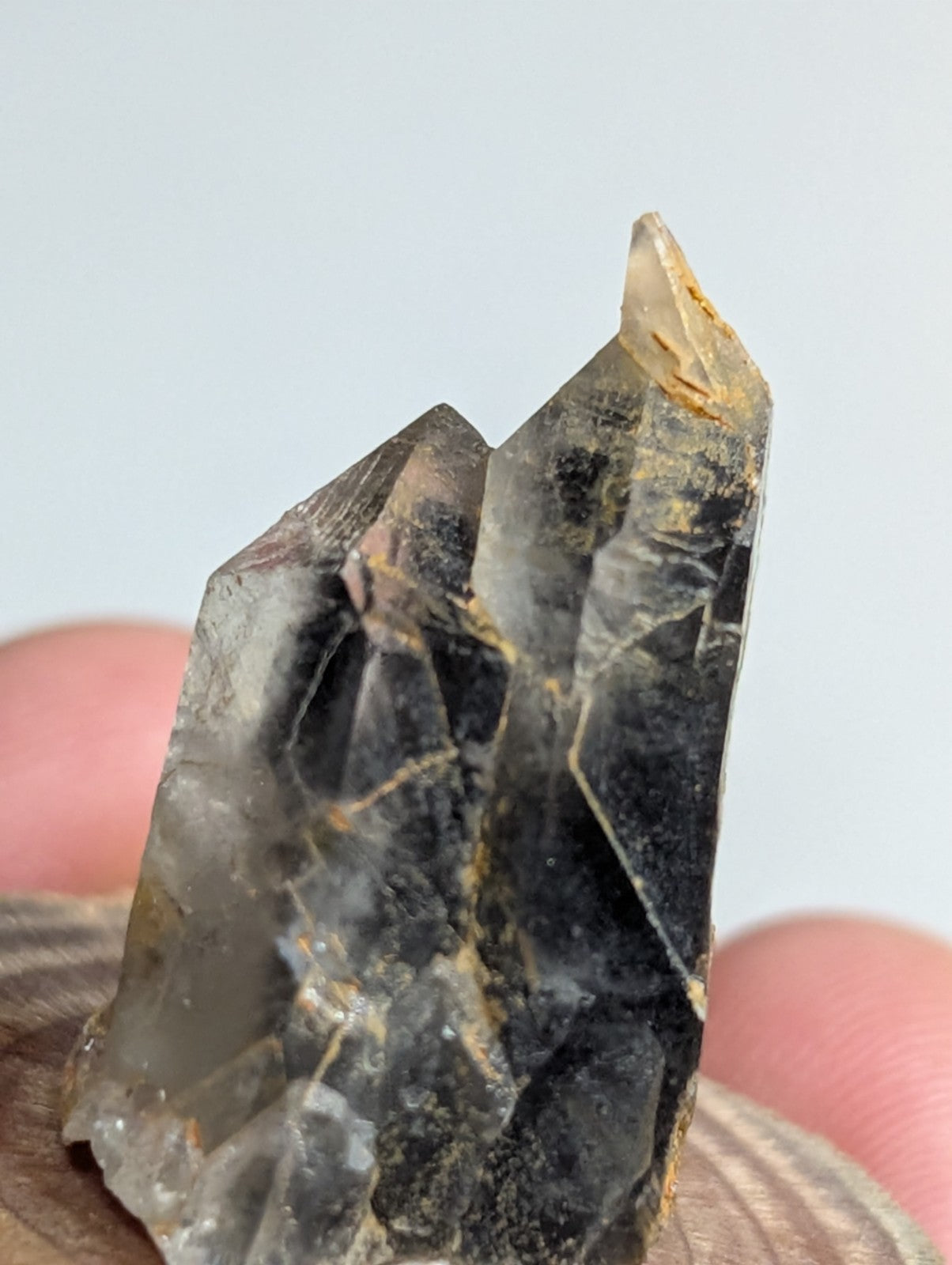 A translucent smoky quartz crystal cluster with sharp, angular facets and subtle golden inclusions.