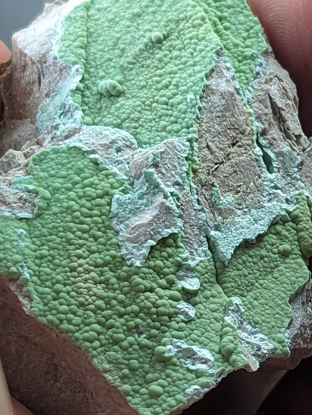 Planerite Mauldin Mountain Montgomery Co. Arkansas USA (Old Stock) - Collectibles:Rocks Fossils & Minerals:Crystals