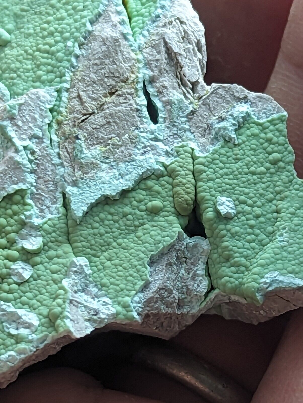 Planerite Mauldin Mountain Montgomery Co. Arkansas USA (Old Stock) - Collectibles:Rocks Fossils & Minerals:Crystals