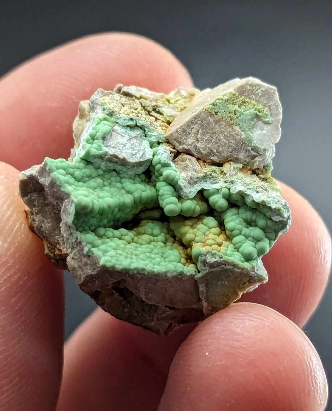 Planerite Mauldin Mountain Montgomery Co. Arkansas USA (Old Stock) ex Delinde - Collectibles:Rocks Fossils &