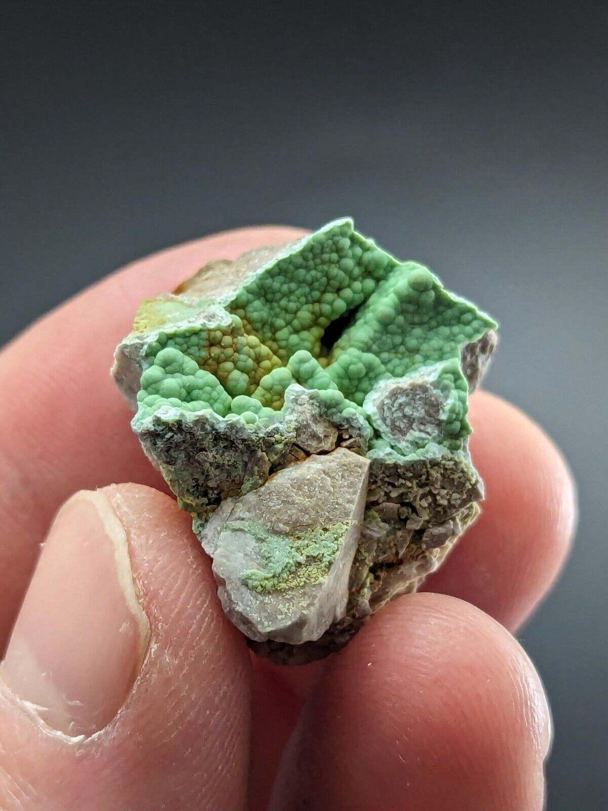 Planerite Mauldin Mountain Montgomery Co. Arkansas USA (Old Stock) ex Delinde - Collectibles:Rocks Fossils &