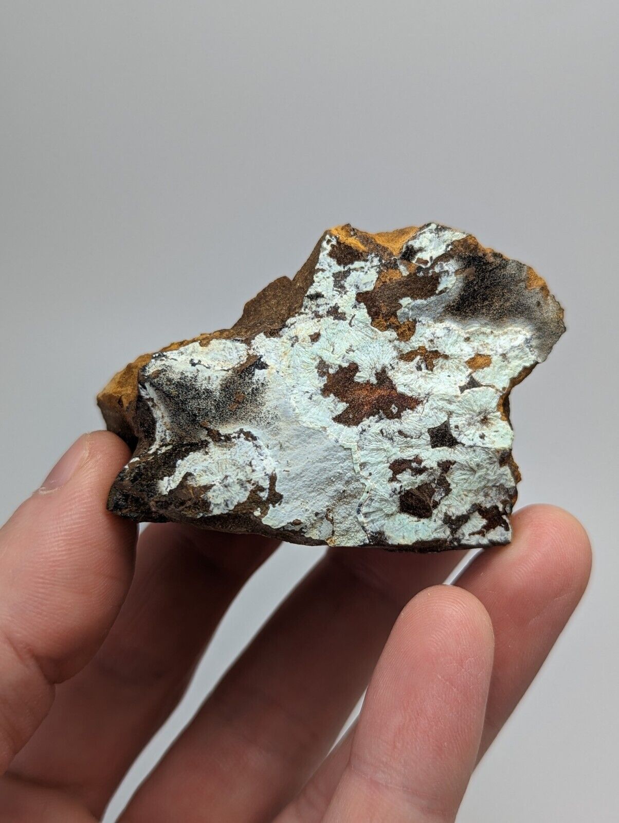 Planerite on Novaculite - Very RARE - old stock 1970s- York Mine Polk Arkansas - Collectibles:Rocks Fossils &