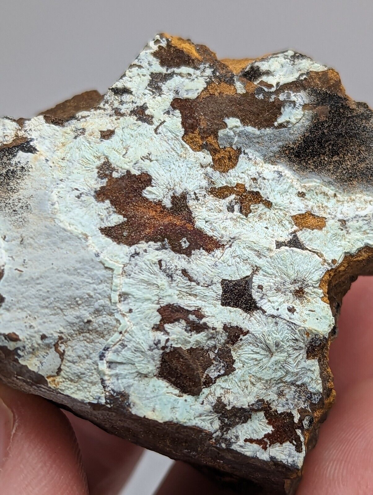 Planerite on Novaculite - Very RARE - old stock 1970s- York Mine Polk Arkansas - Collectibles:Rocks Fossils &