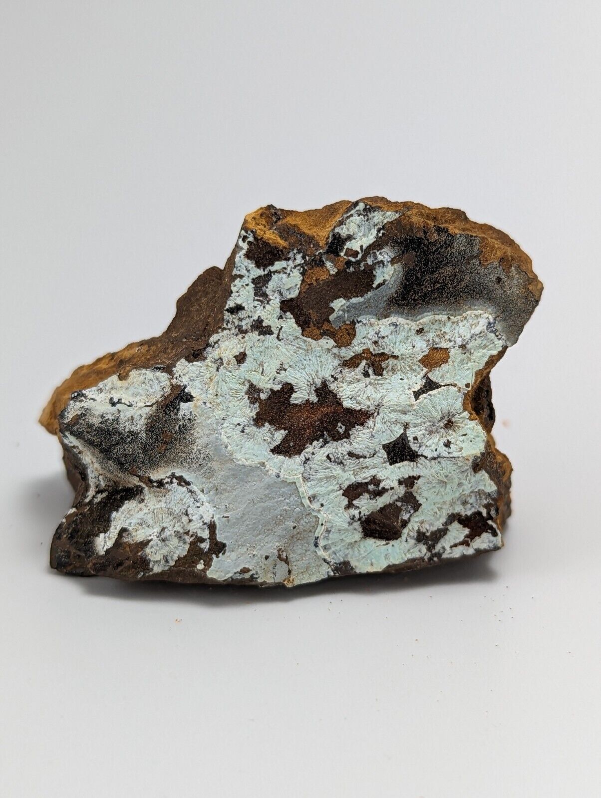 Planerite on Novaculite - Very RARE - old stock 1970s- York Mine Polk Arkansas - Collectibles:Rocks Fossils &