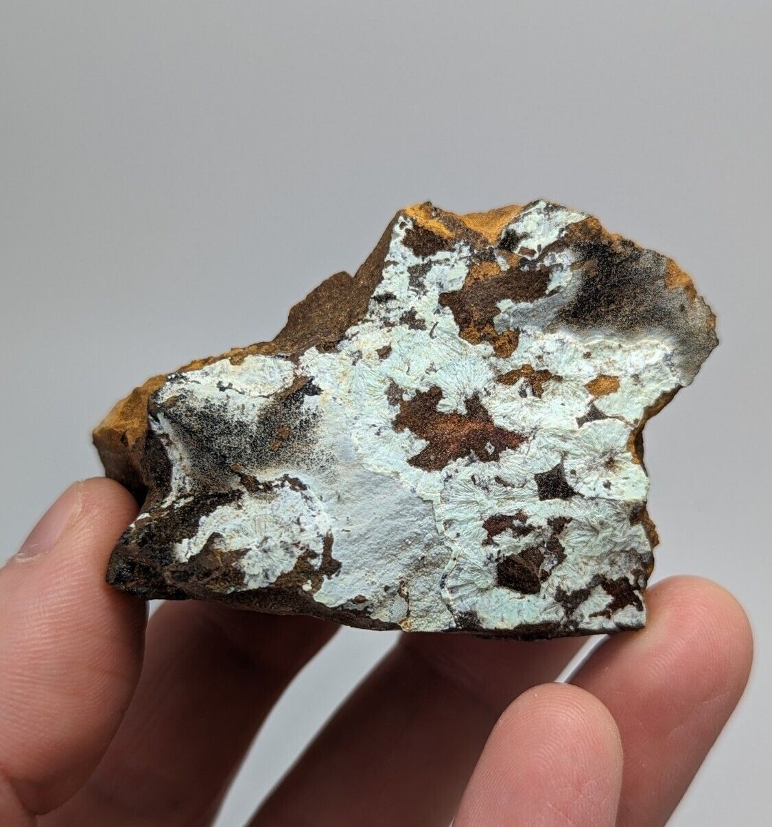 Planerite on Novaculite - Very RARE - old stock 1970s- York Mine Polk Arkansas - Collectibles:Rocks Fossils &