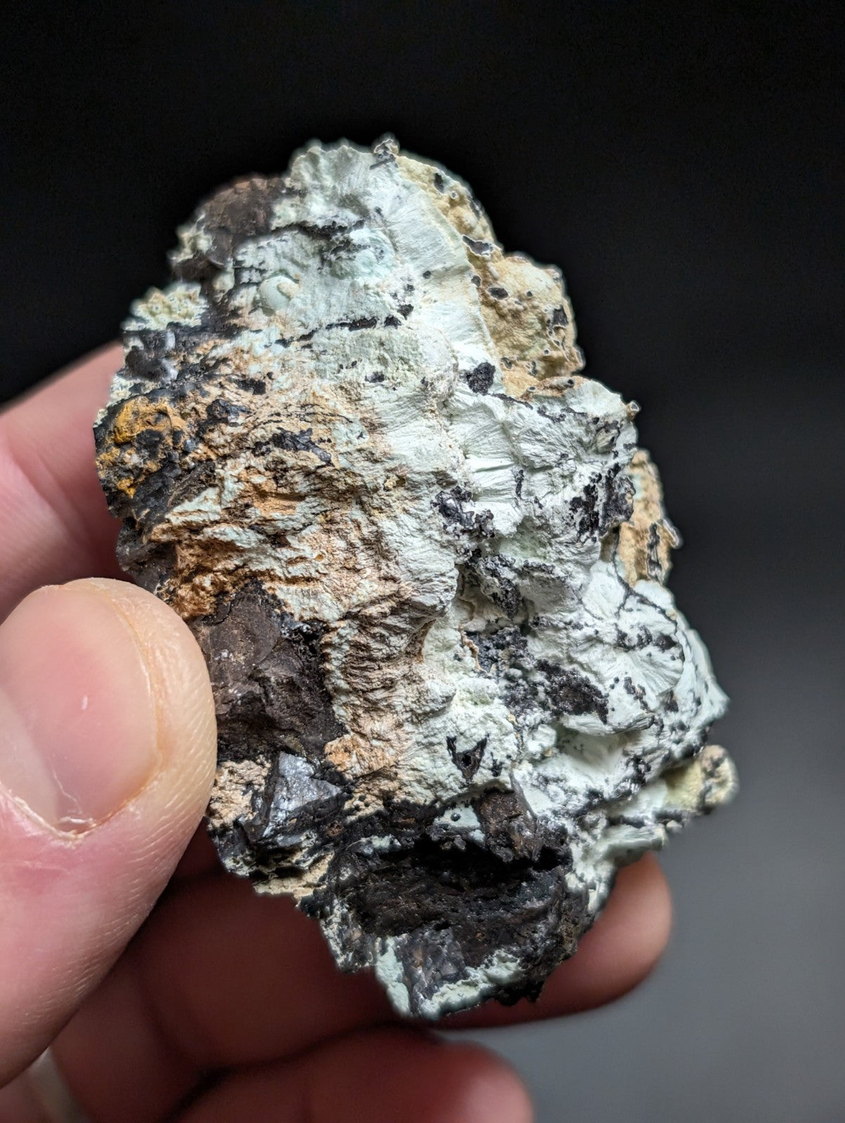 Planerite York Mine/Coon Creek Polk County Arkansas Old Stock Rare/Unique - Collectibles:Rocks Fossils &