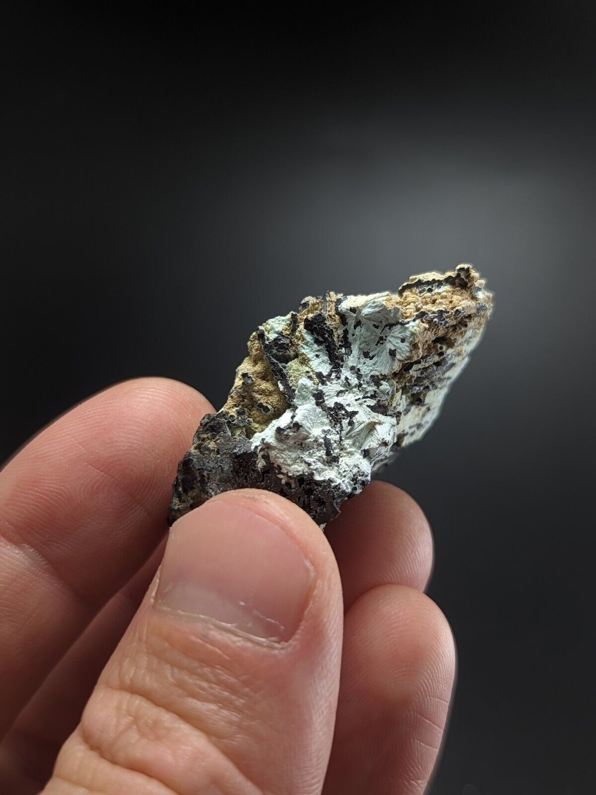Planerite York Mine/Coon Creek Polk County Arkansas Old Stock Rare/Unique - Collectibles:Rocks Fossils &