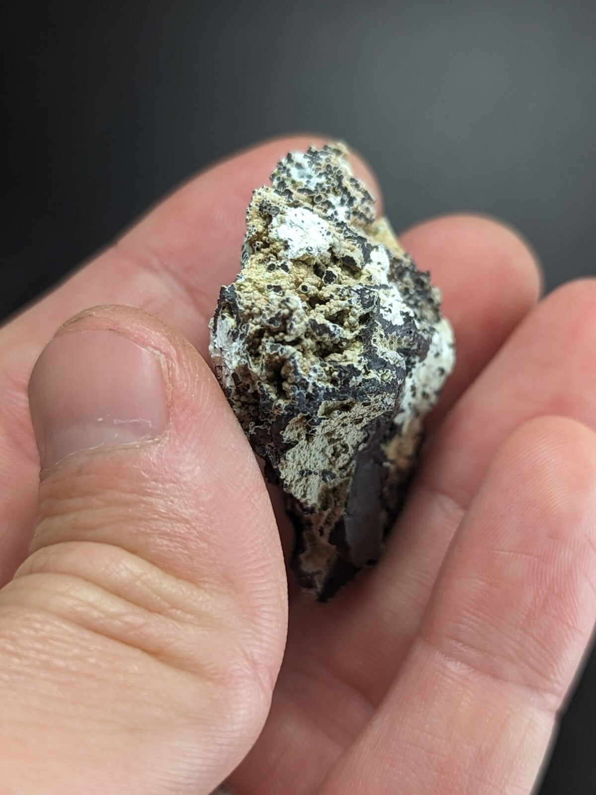 A rugged, irregularly shaped mineral specimen with a mottled surface of dark gray and light greenish-white patches.