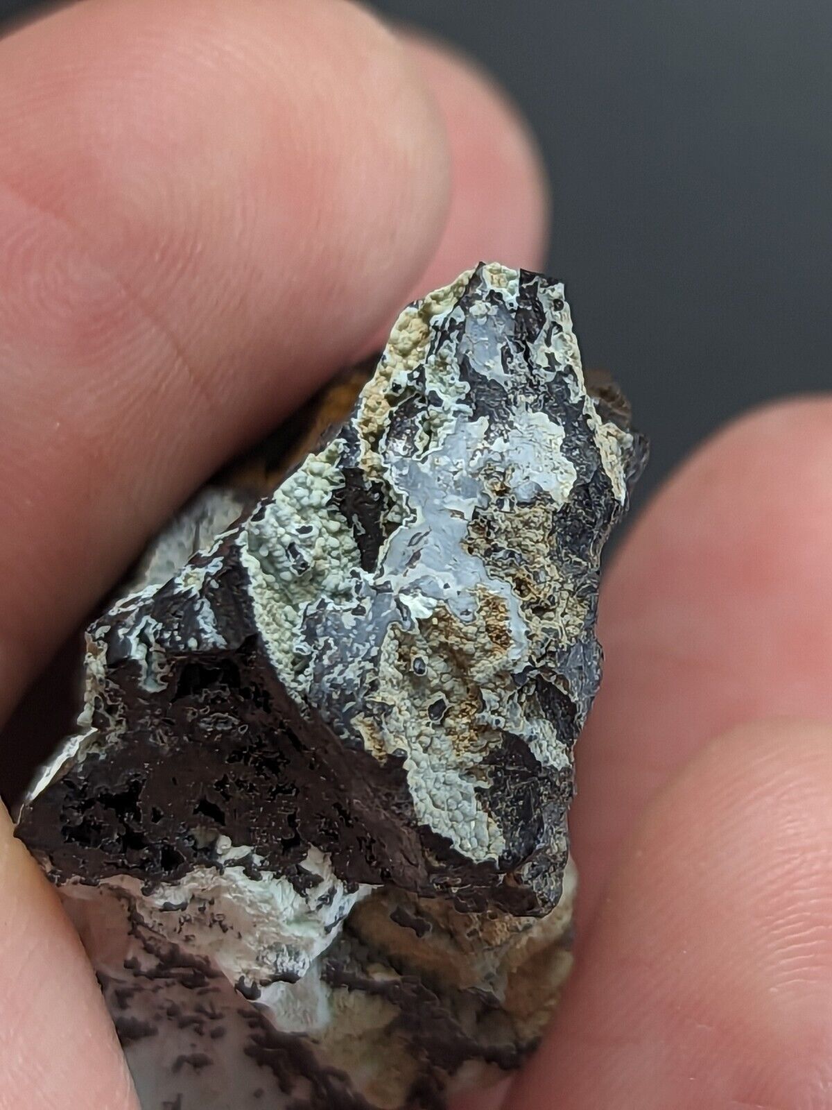 Planerite York Mine/Coon Creek Polk County Arkansas Old Stock Rare/Unique - Collectibles:Rocks Fossils &