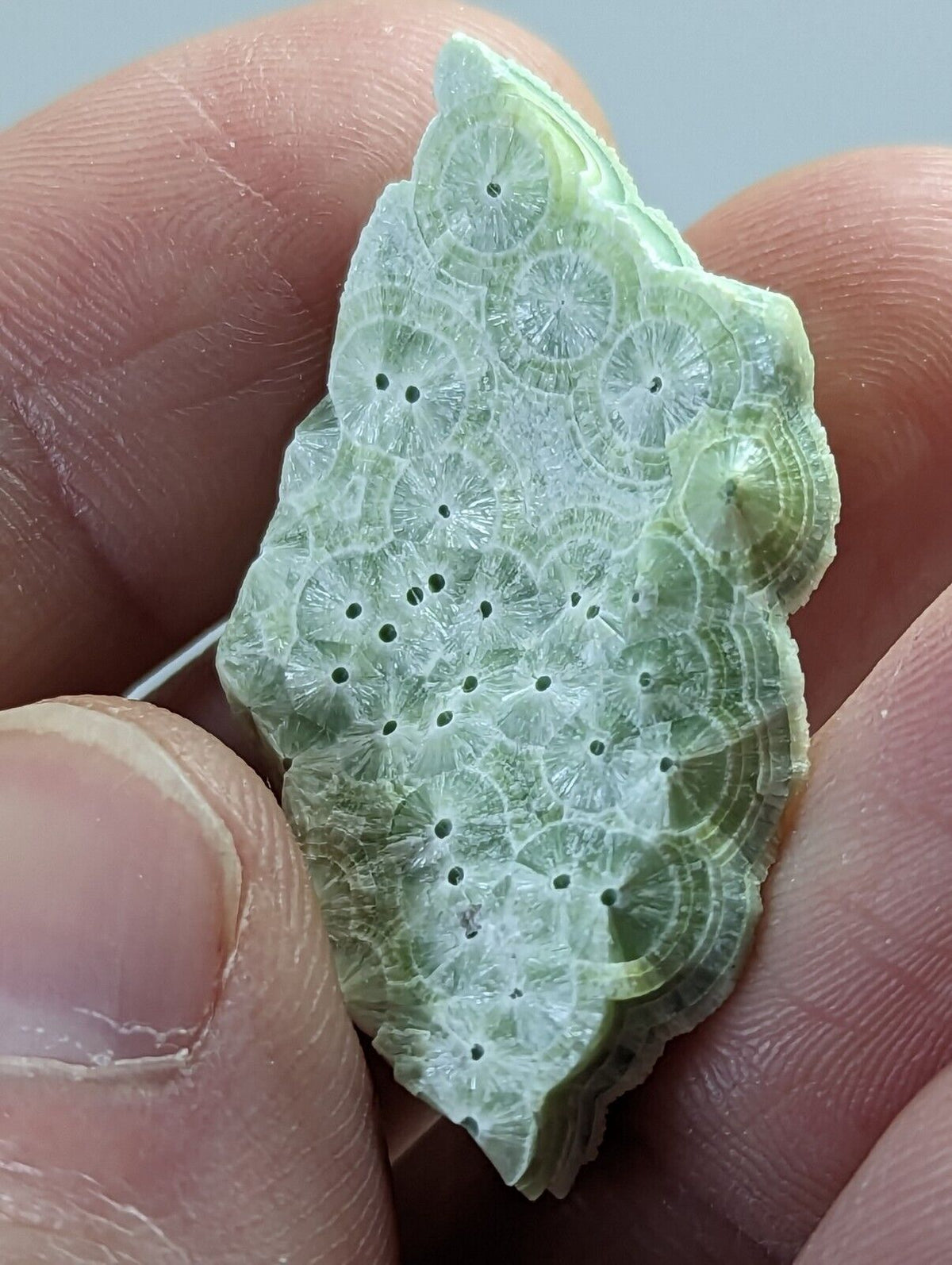 Pure Wavellite Floater - Fantastic 1990s Old Stock - Mauldin Mountain Arkansas - Collectibles:Rocks Fossils &