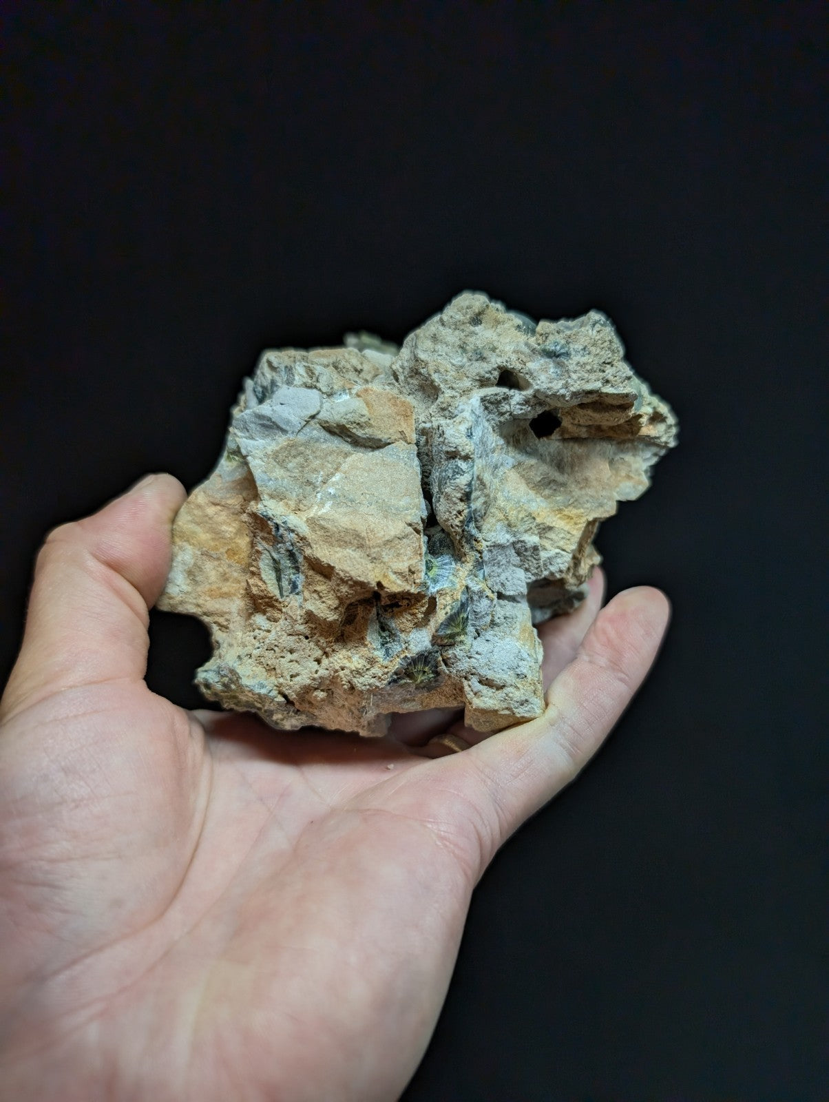 A rugged, irregularly shaped rock with a mix of beige and gray tones, featuring rough textures and natural fissures.