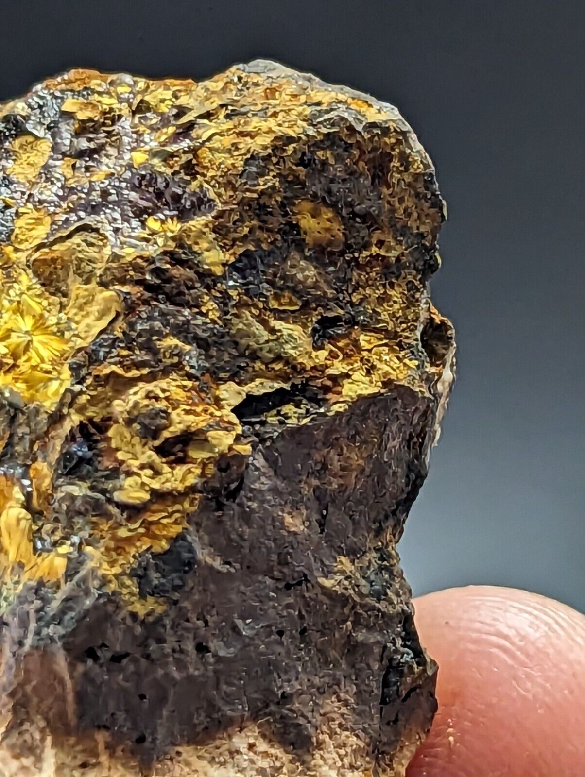 Rare Cacoxenite - Coon Creek / York Mine Polk Co Arkansas Old Stock - Collectibles:Rocks Fossils & Minerals:Crystals