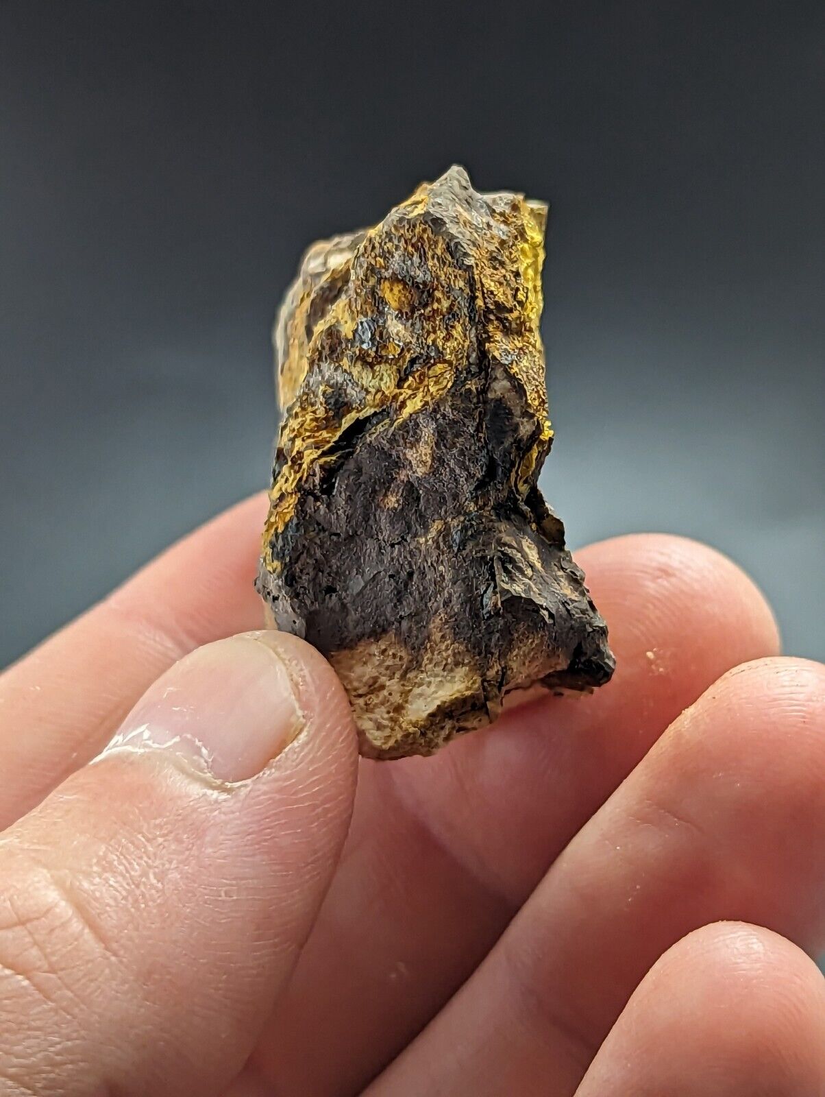 Rare Cacoxenite - Coon Creek / York Mine Polk Co Arkansas Old Stock - Collectibles:Rocks Fossils & Minerals:Crystals