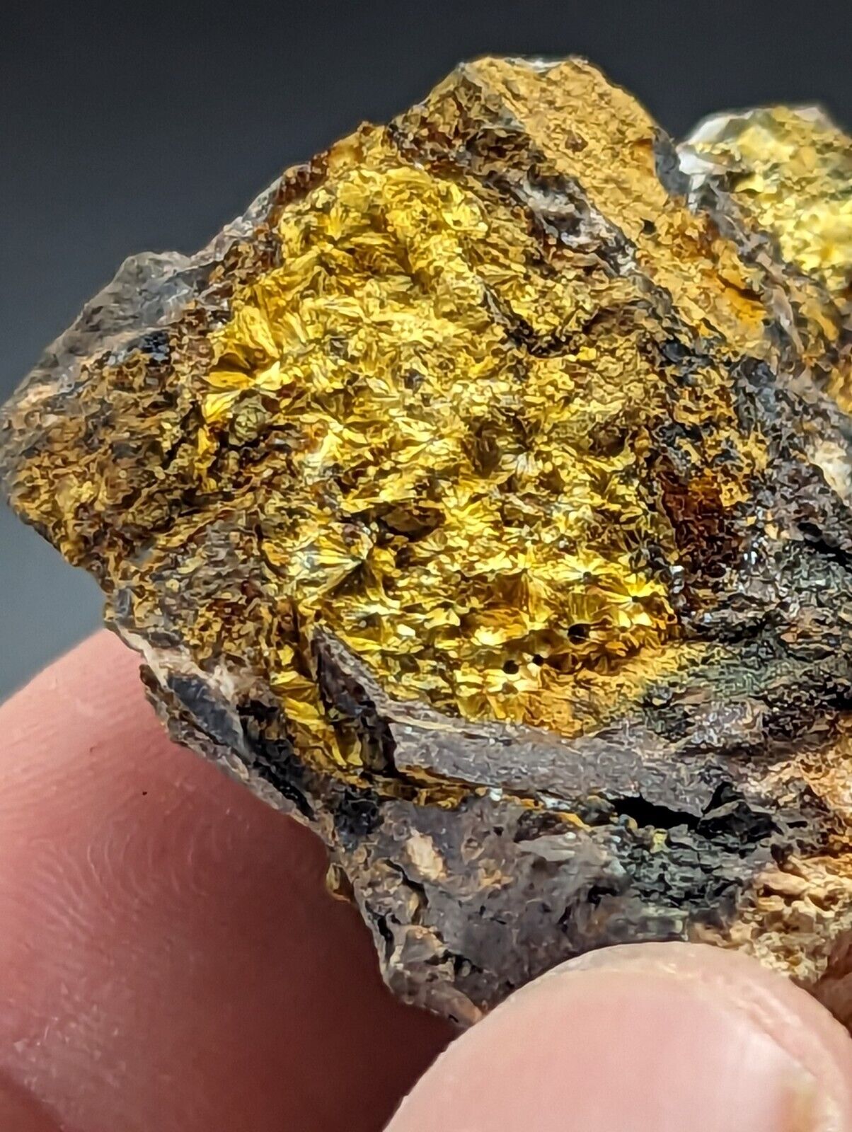 Rare Cacoxenite - Coon Creek / York Mine Polk Co Arkansas Old Stock - Collectibles:Rocks Fossils & Minerals:Crystals