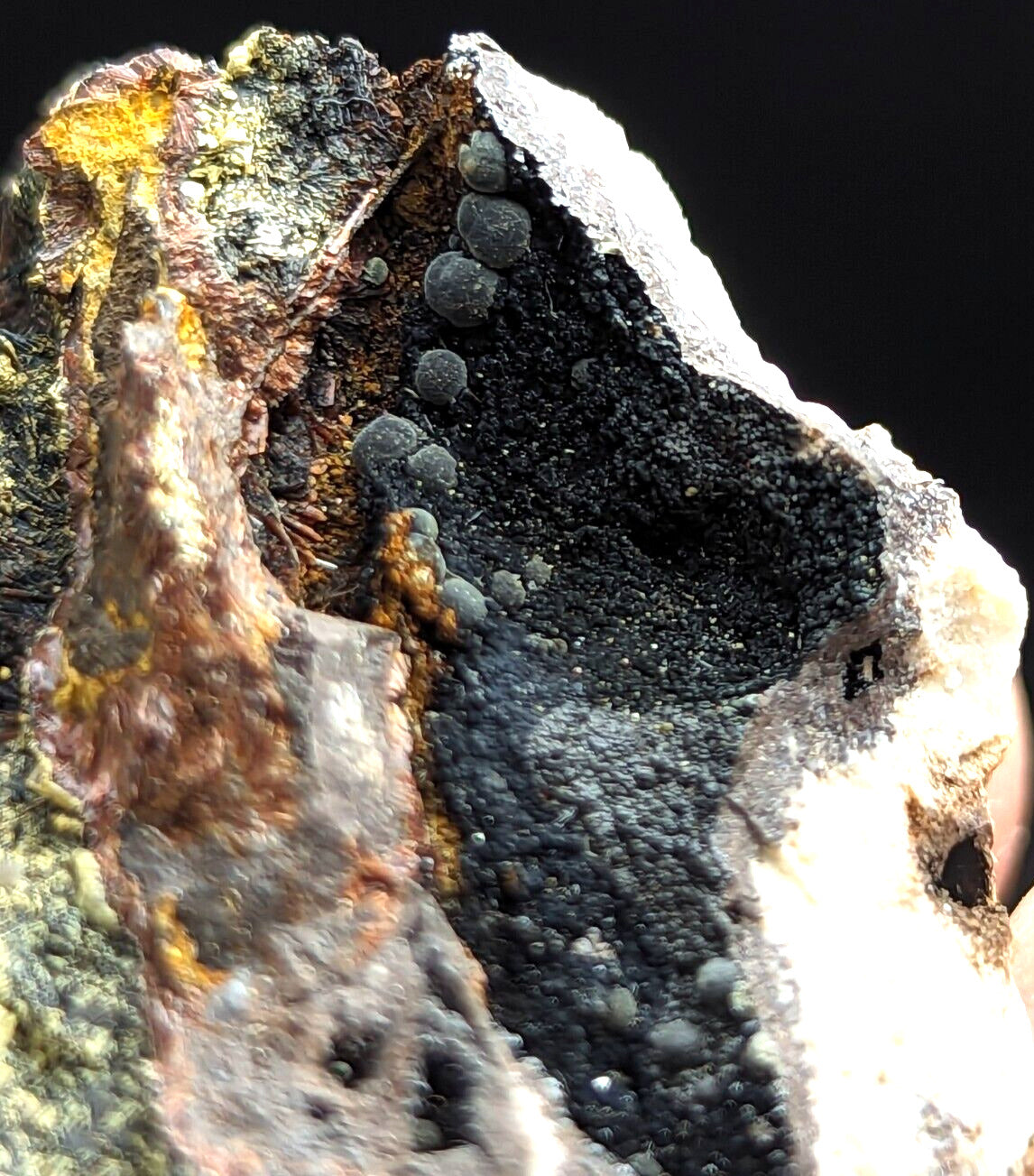 Rare Iron Phosphates Combo (Elenorite Cacoxenite etc) Polk County Arkansas - Collectibles:Rocks Fossils &