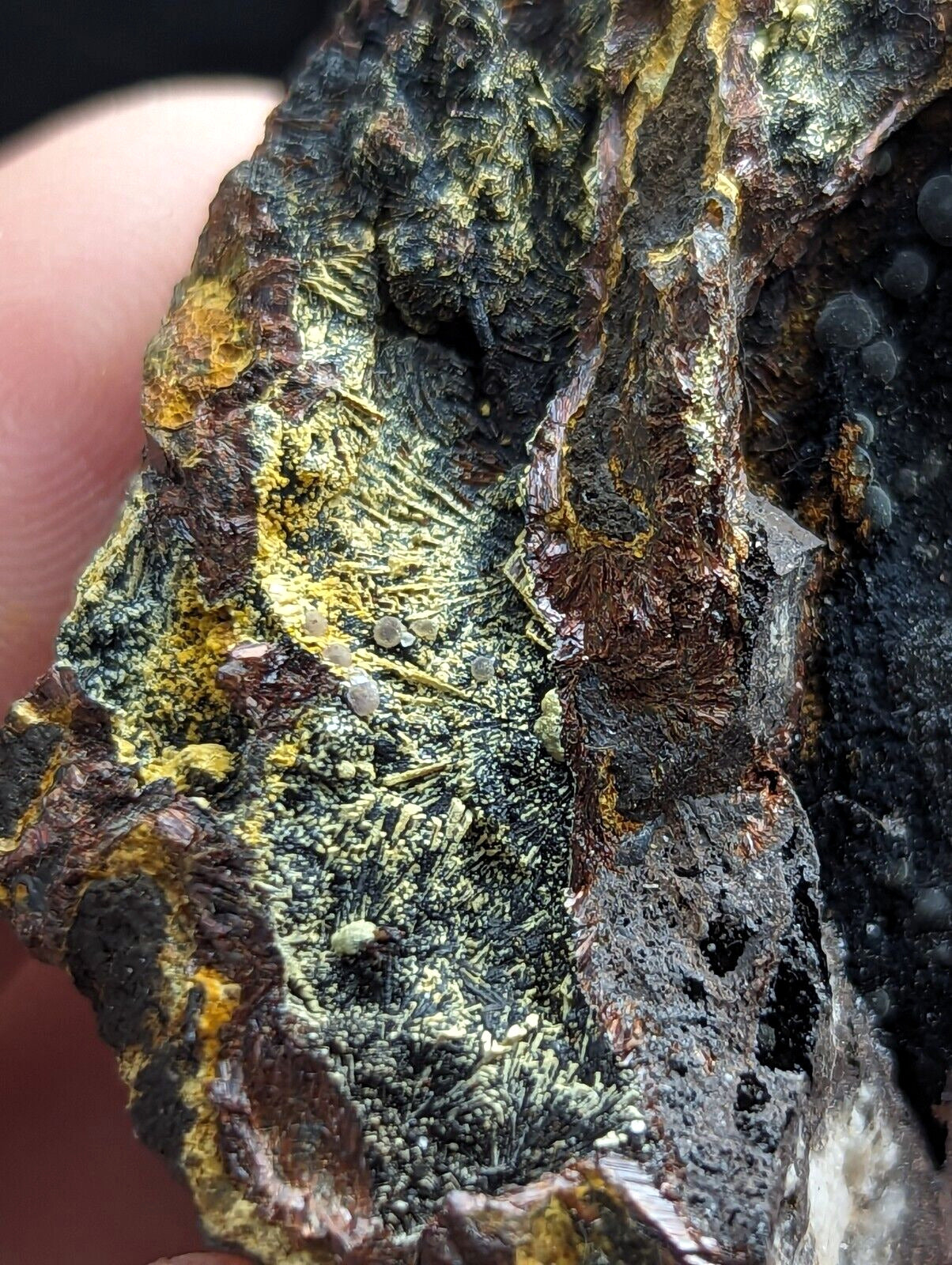 Rare Iron Phosphates Combo (Elenorite Cacoxenite etc) Polk County Arkansas - Collectibles:Rocks Fossils &