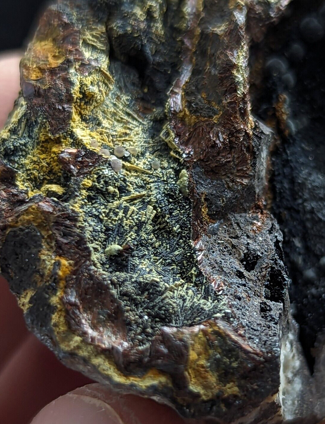 Rare Iron Phosphates Combo (Elenorite Cacoxenite etc) Polk County Arkansas - Collectibles:Rocks Fossils &