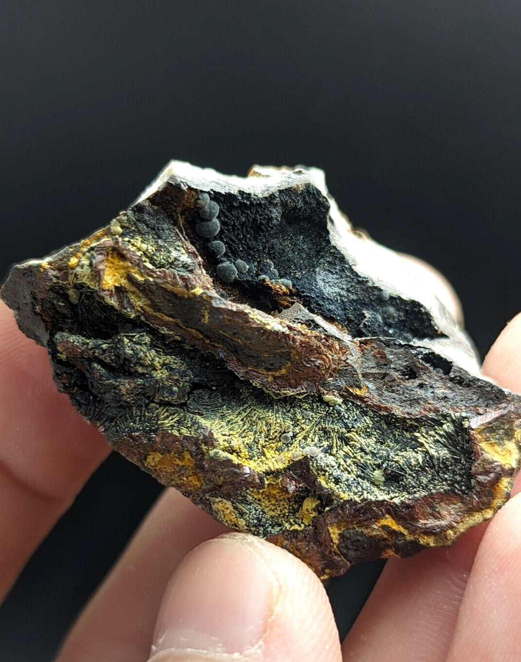 Rare Iron Phosphates Combo (Elenorite Cacoxenite etc) Polk County Arkansas - Collectibles:Rocks Fossils &